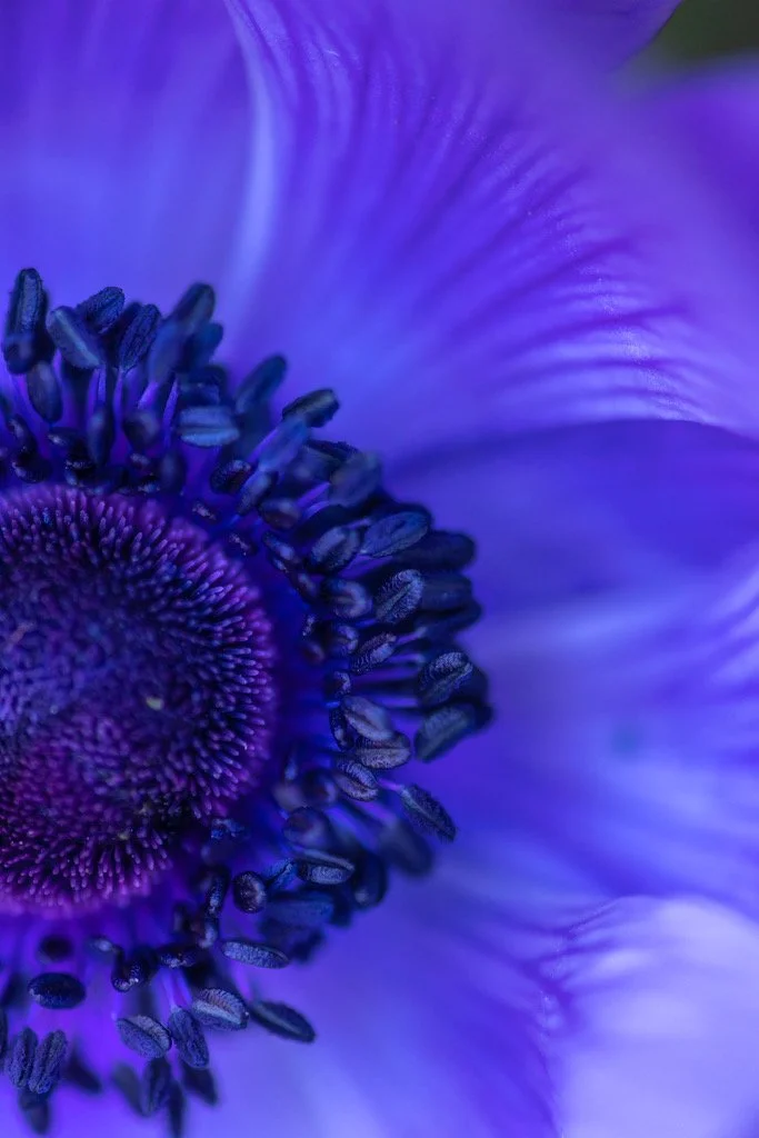 still.being.moved: Raindance (47-minute playlist) 