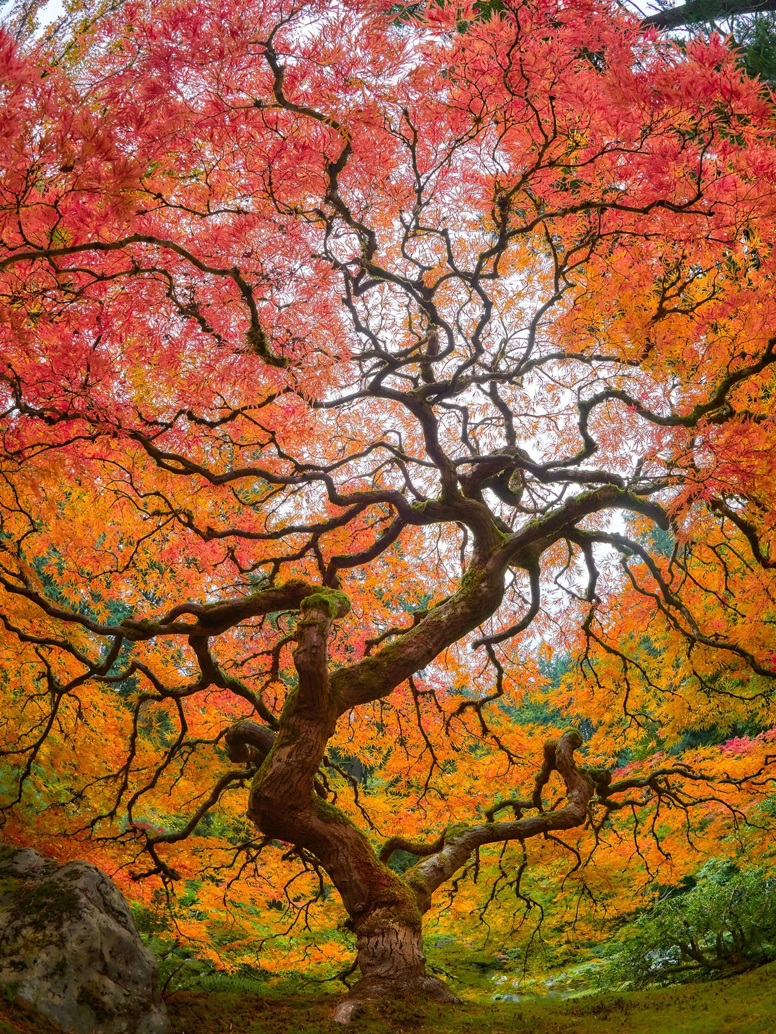Equinox Celebration: Spark (51-minute playlist)  