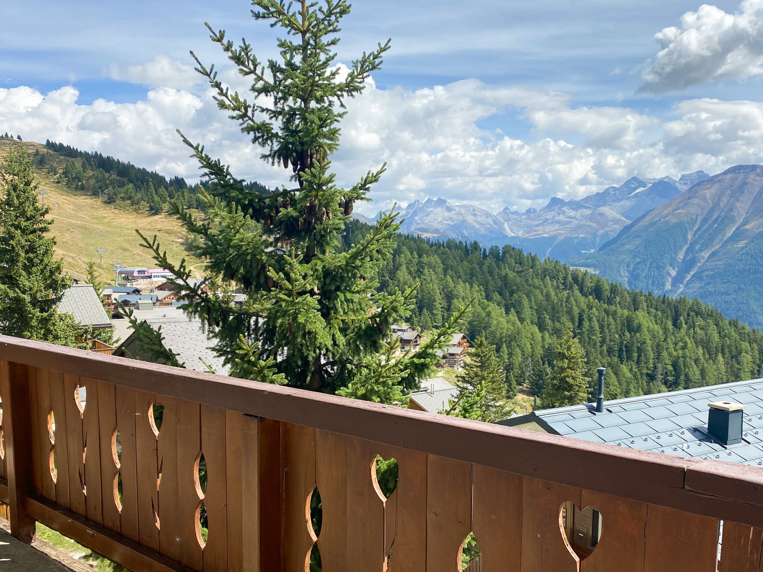 Balkon Sommer.JPG