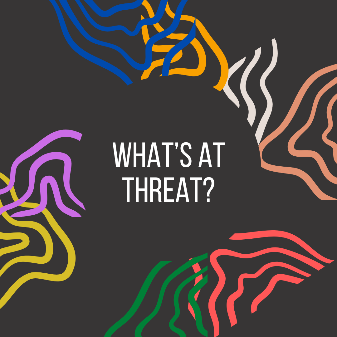What’s at Threat?