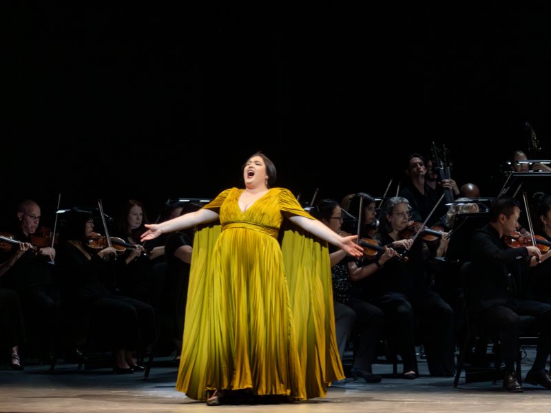 Untitled design (3).png