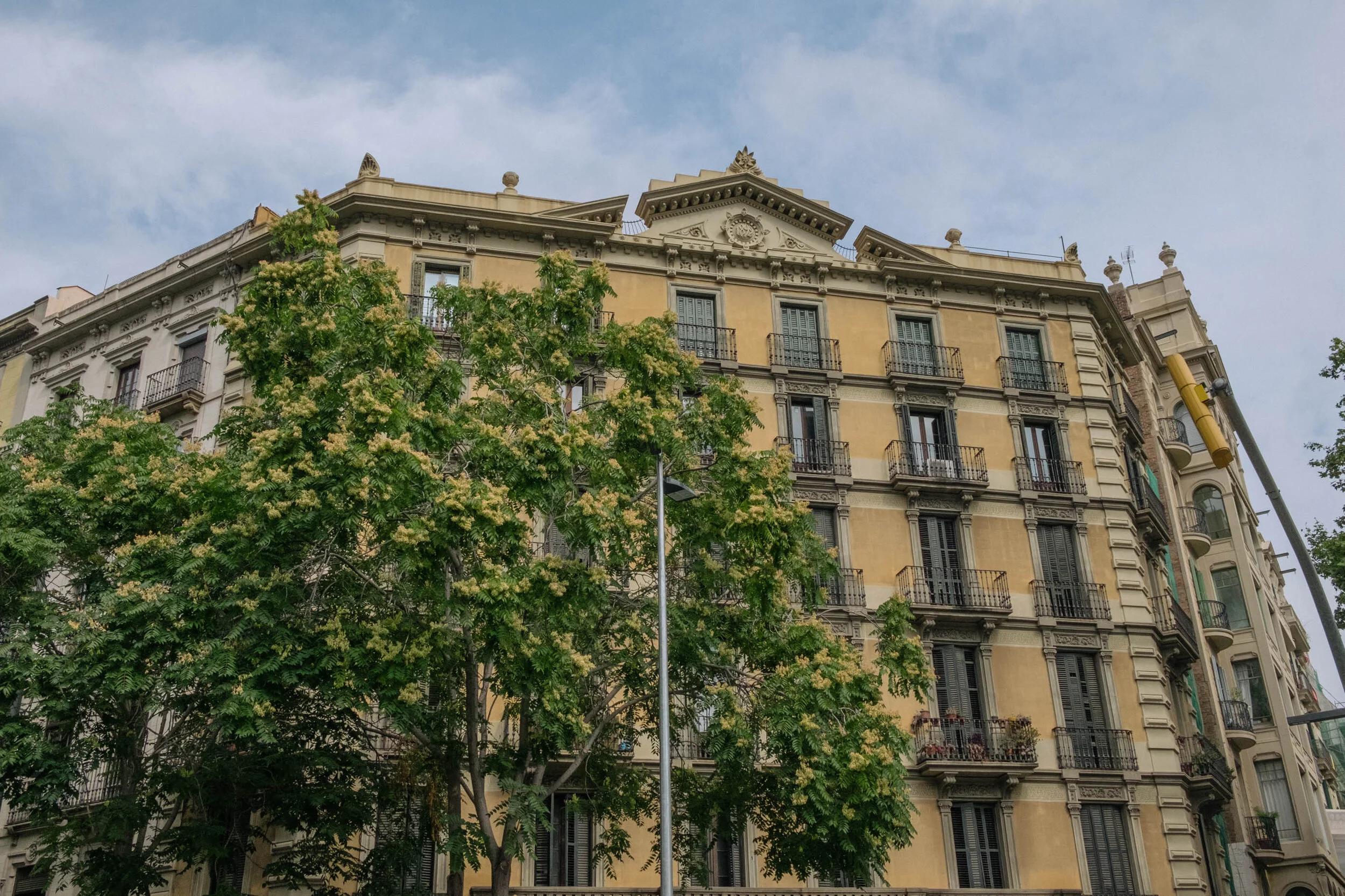Spain (31 of 1).jpg