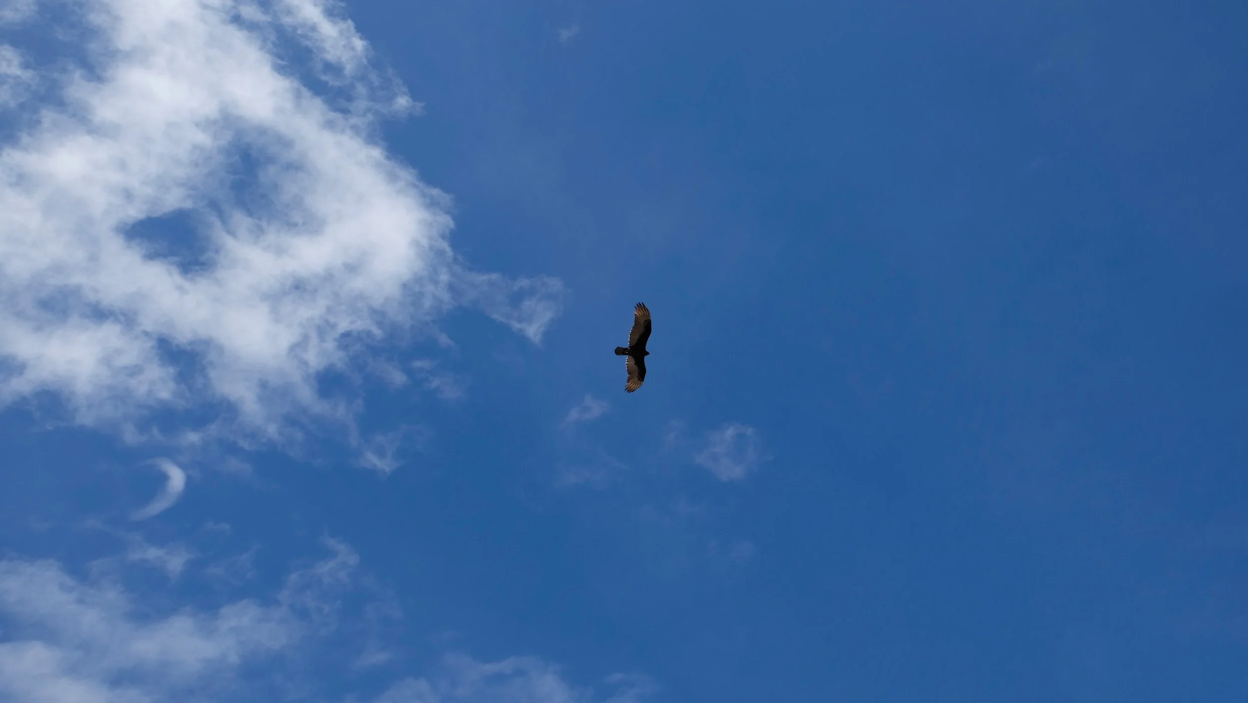 _DSF1190.jpg