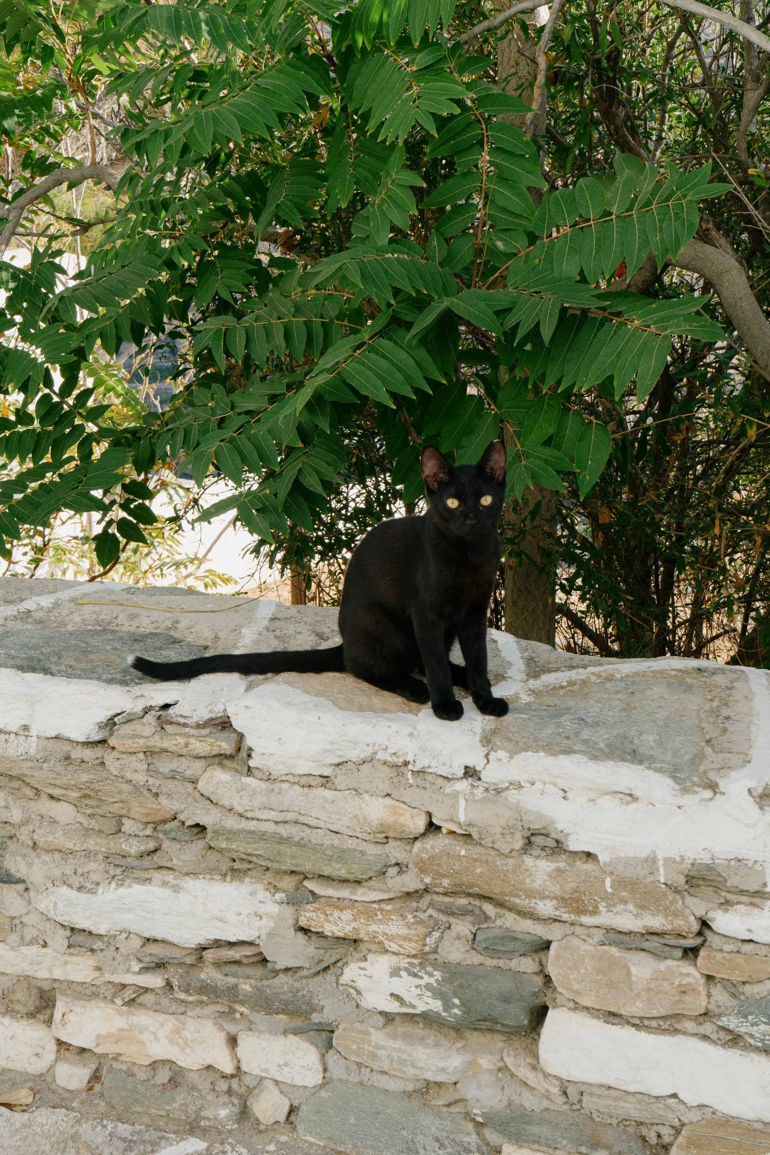 DSC06576.jpg