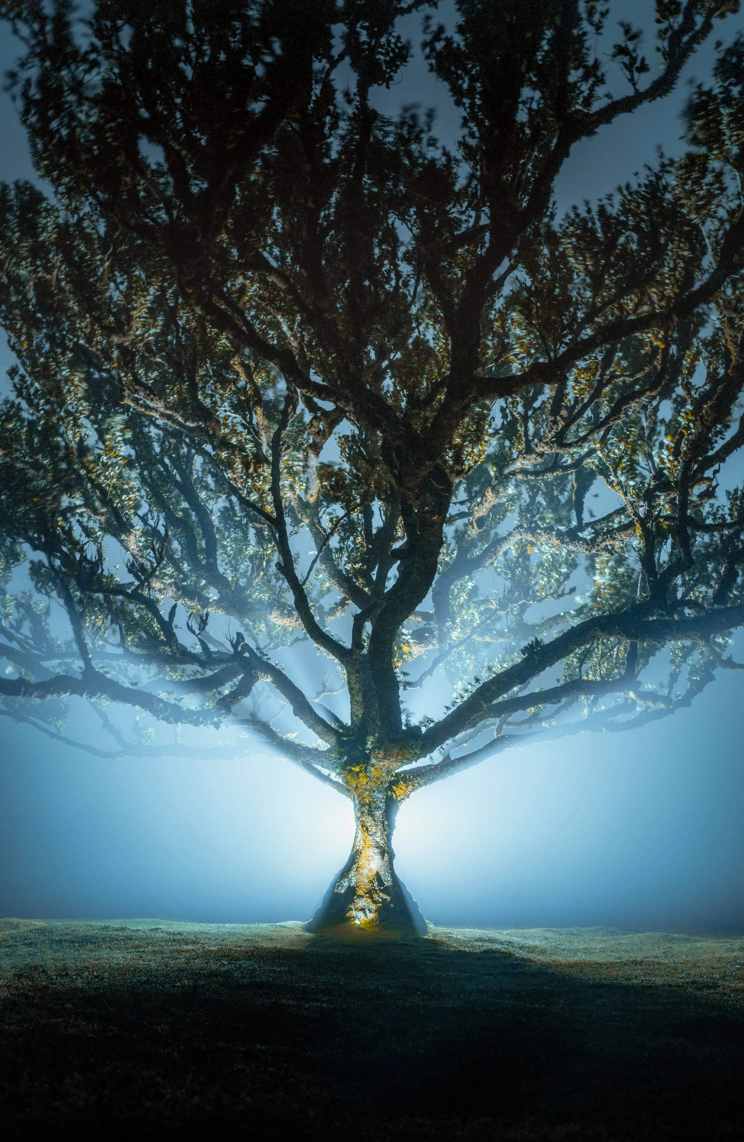_7R53256-Editcompressed.jpg