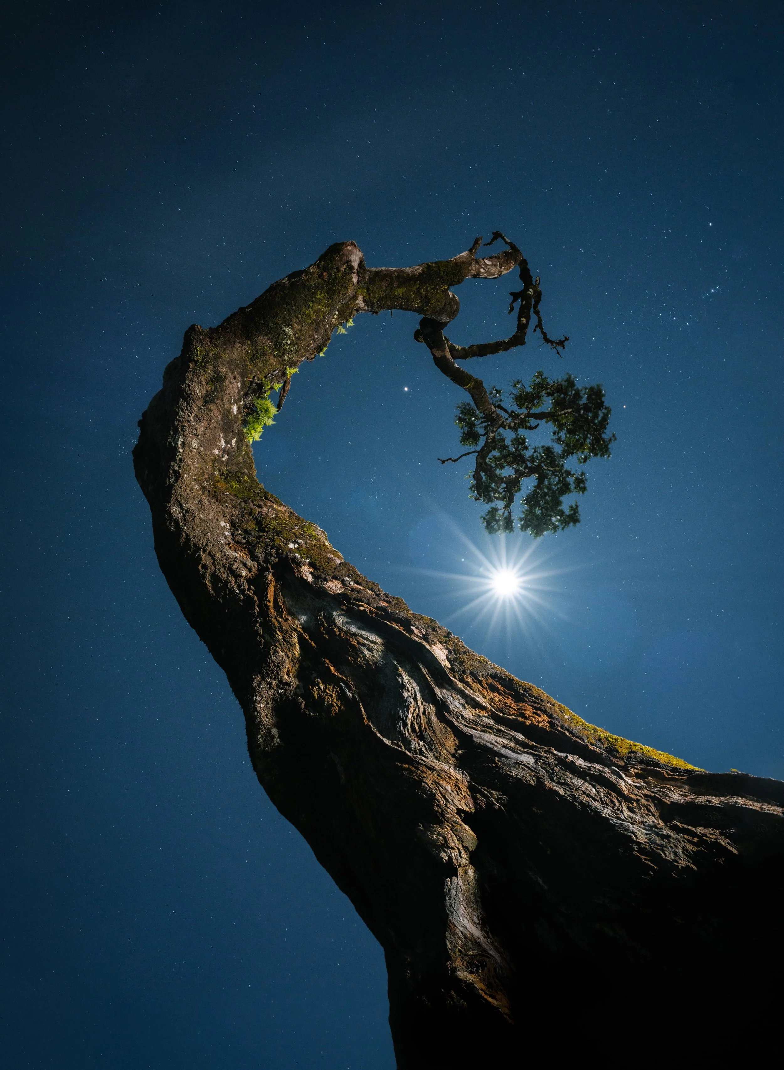 _7R53184-Editcompressed.jpg