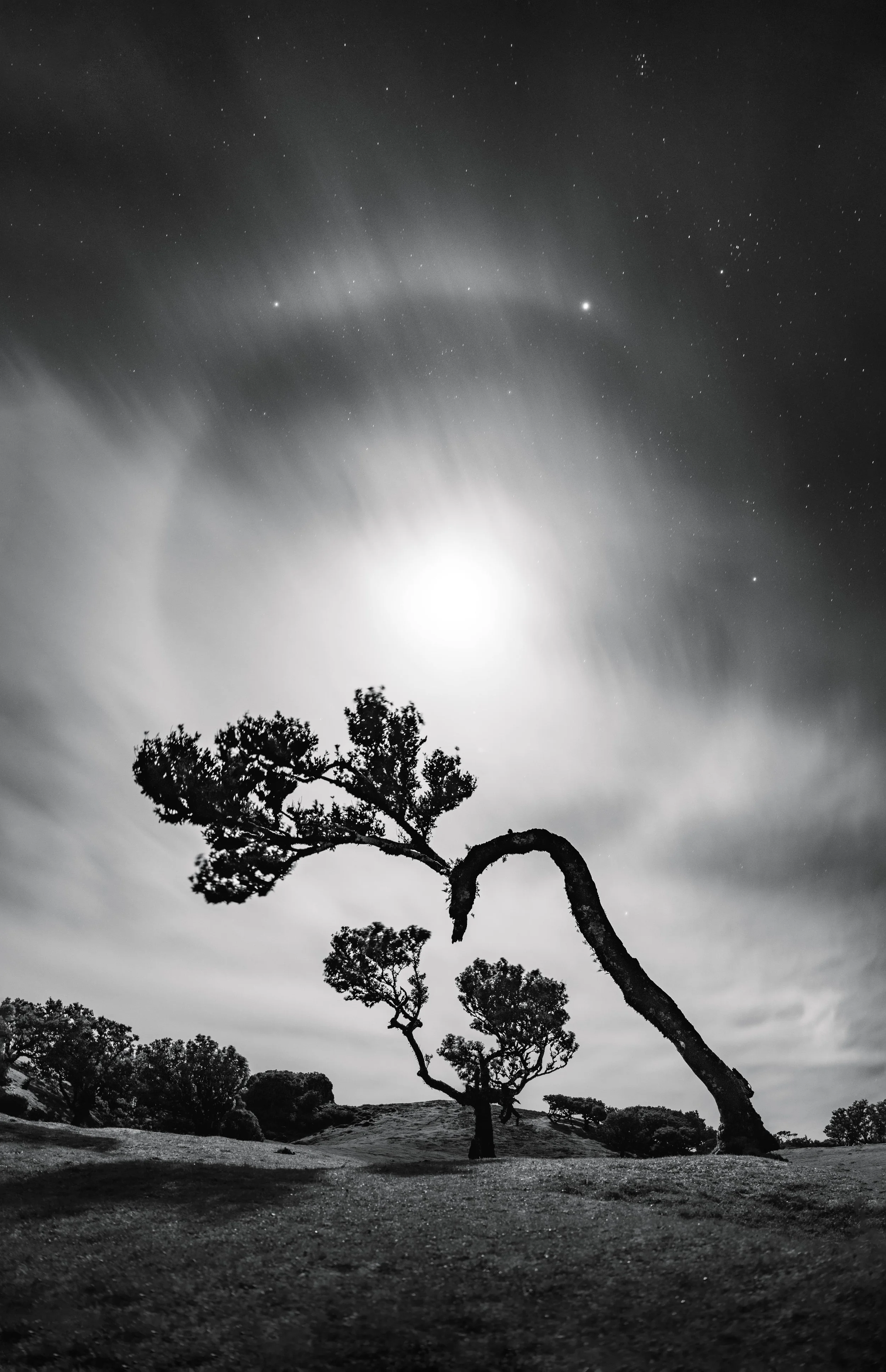 _7R53133-Editcompressed.jpg