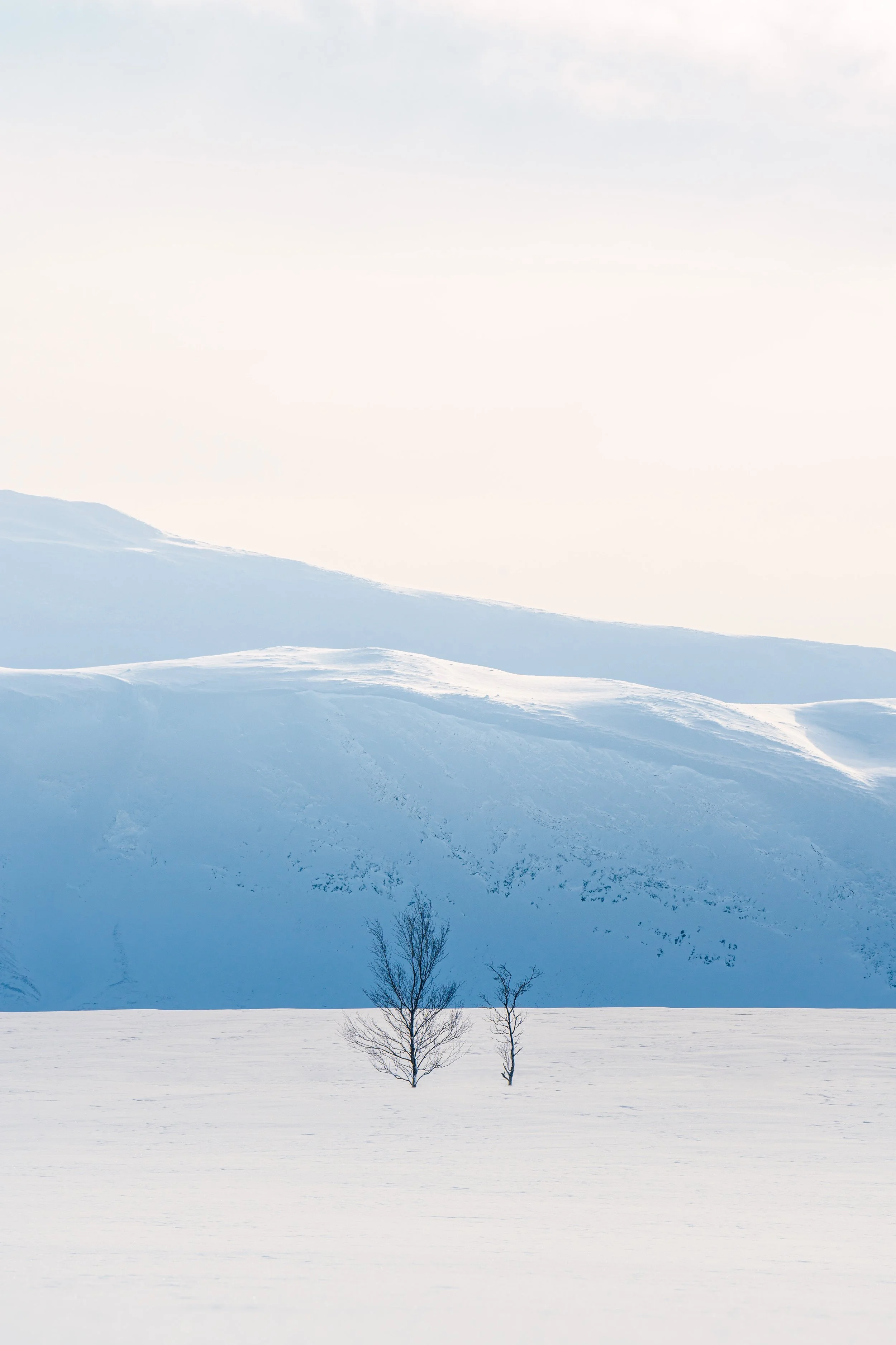 _A746659-Edit.jpg