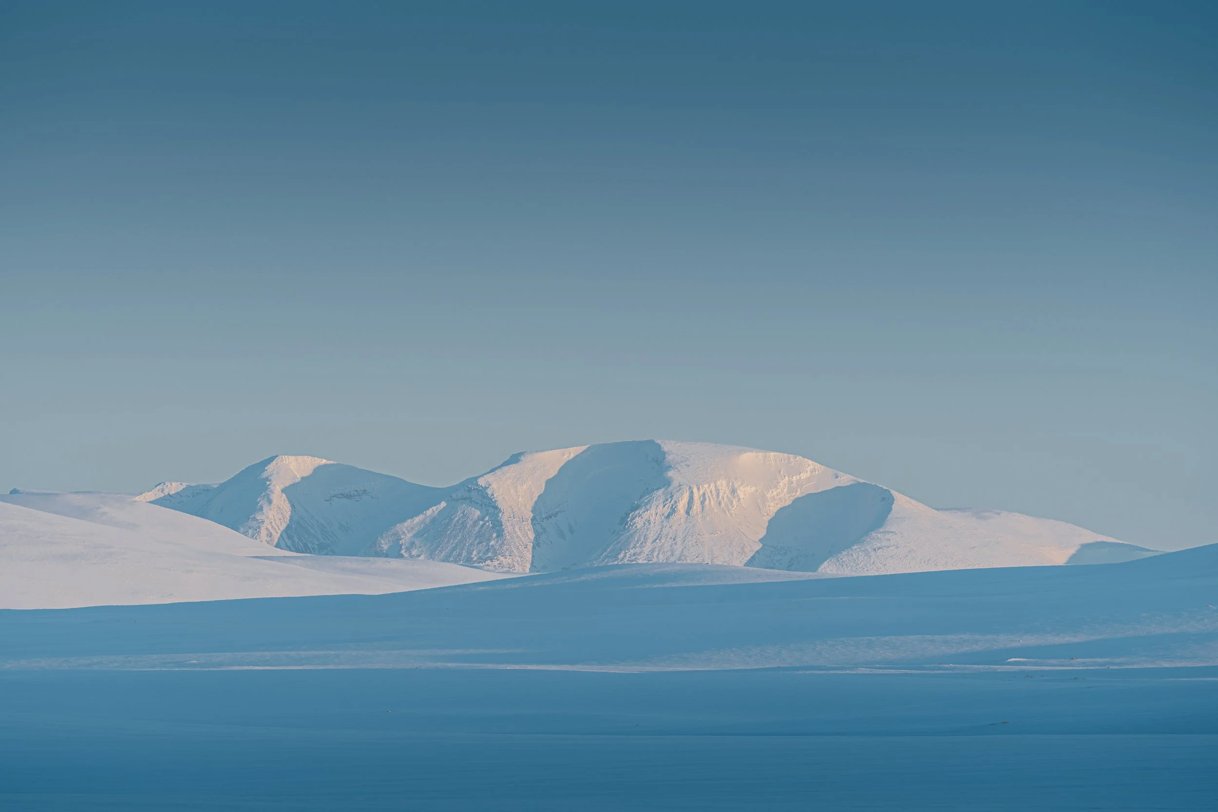 _A745275.jpg