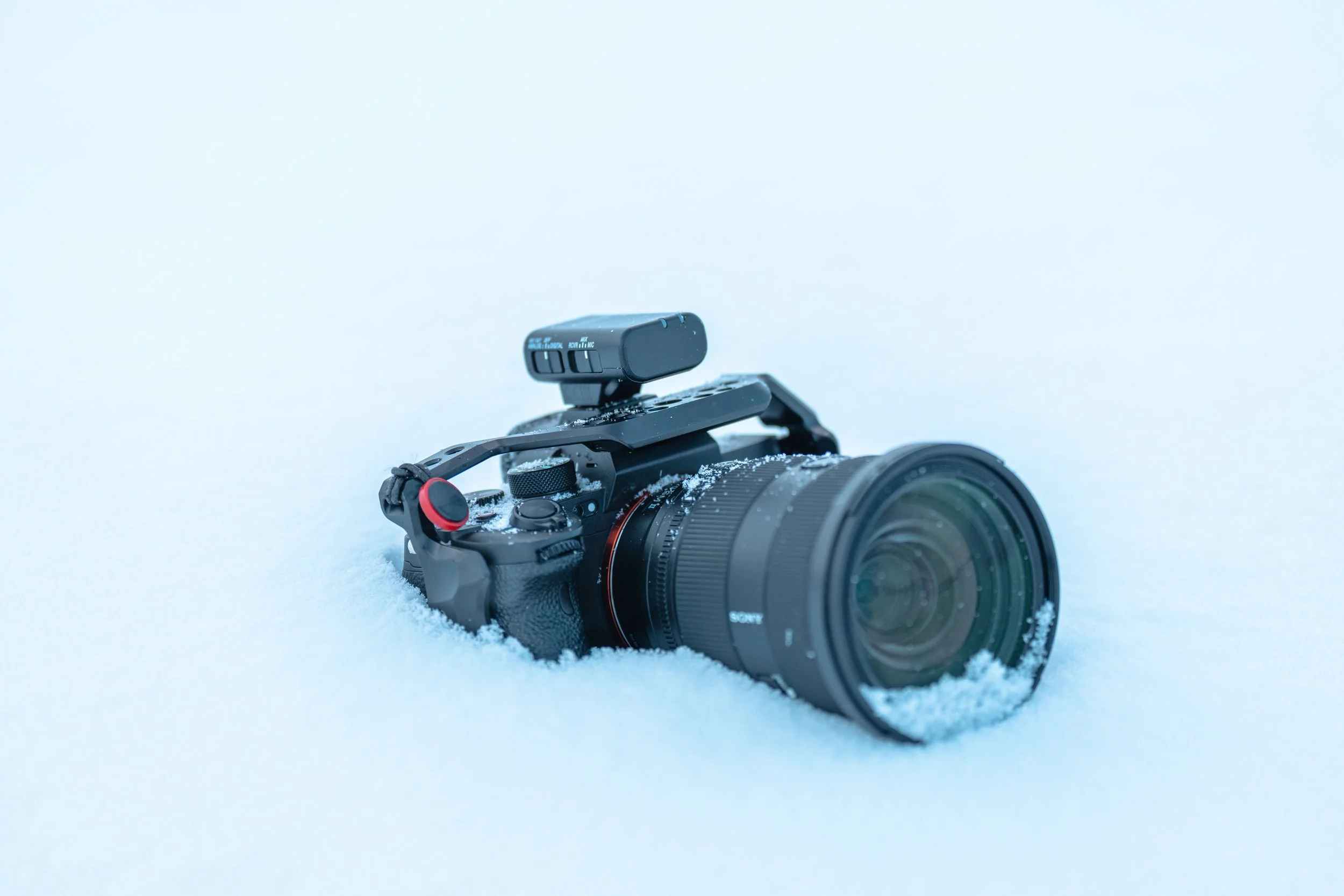 _A746919-Edit.jpg