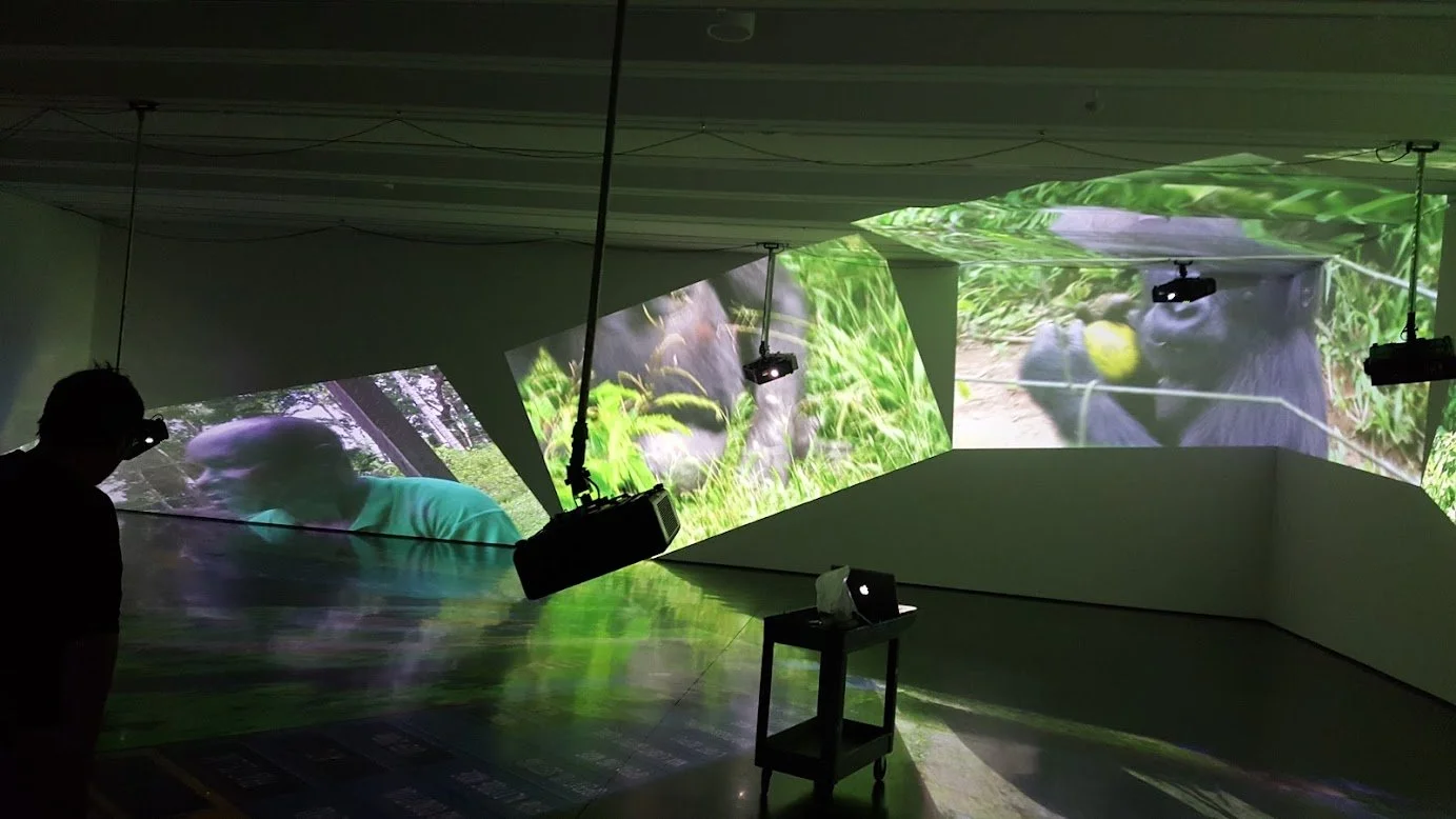 Tech Producer (Aspen Museum)