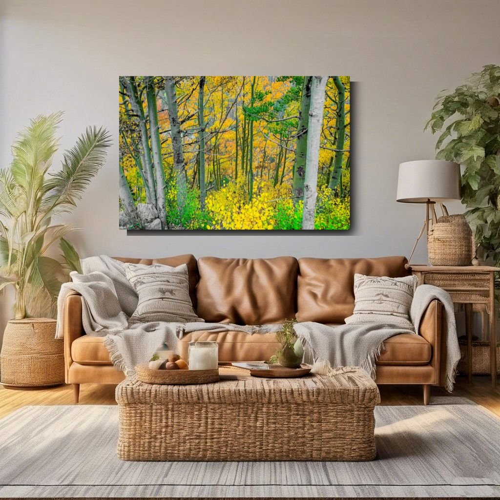 Fall of Aspen.jpg