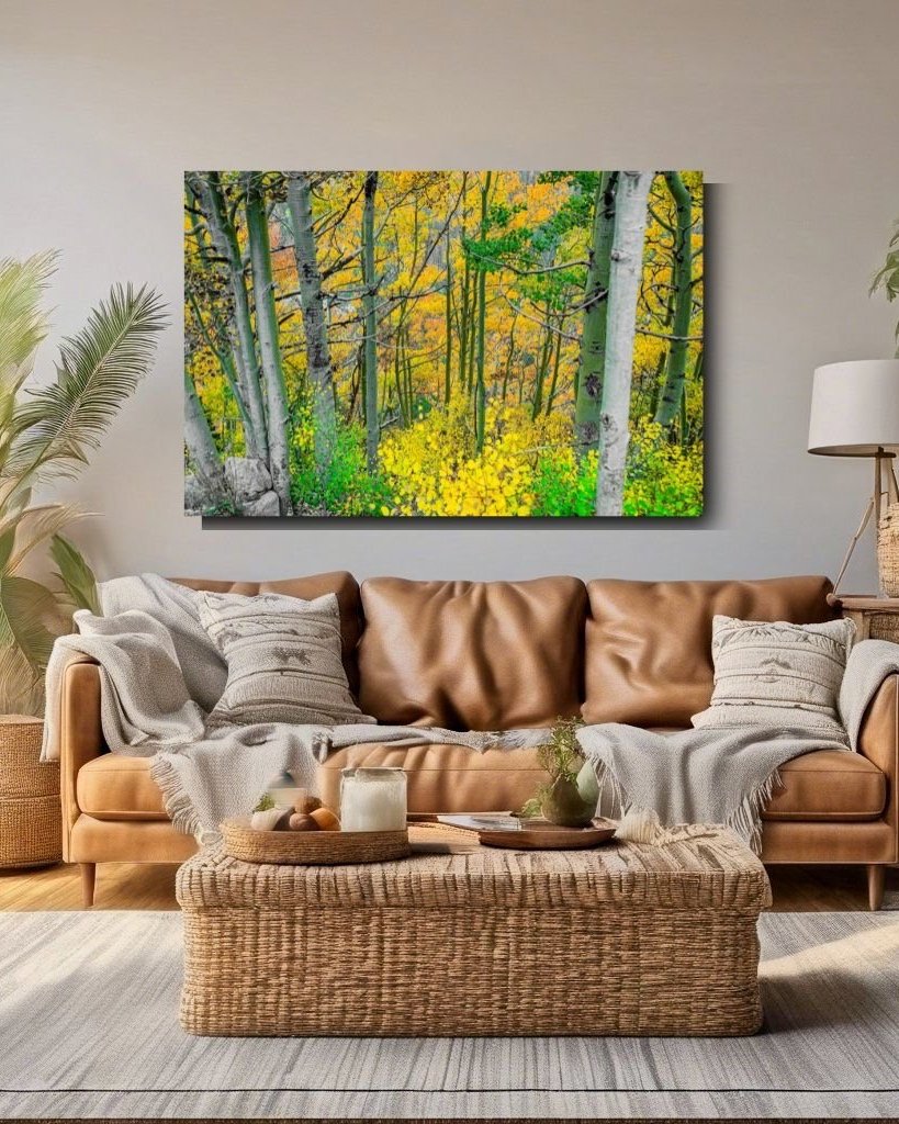 Fall+of+Aspen.jpg