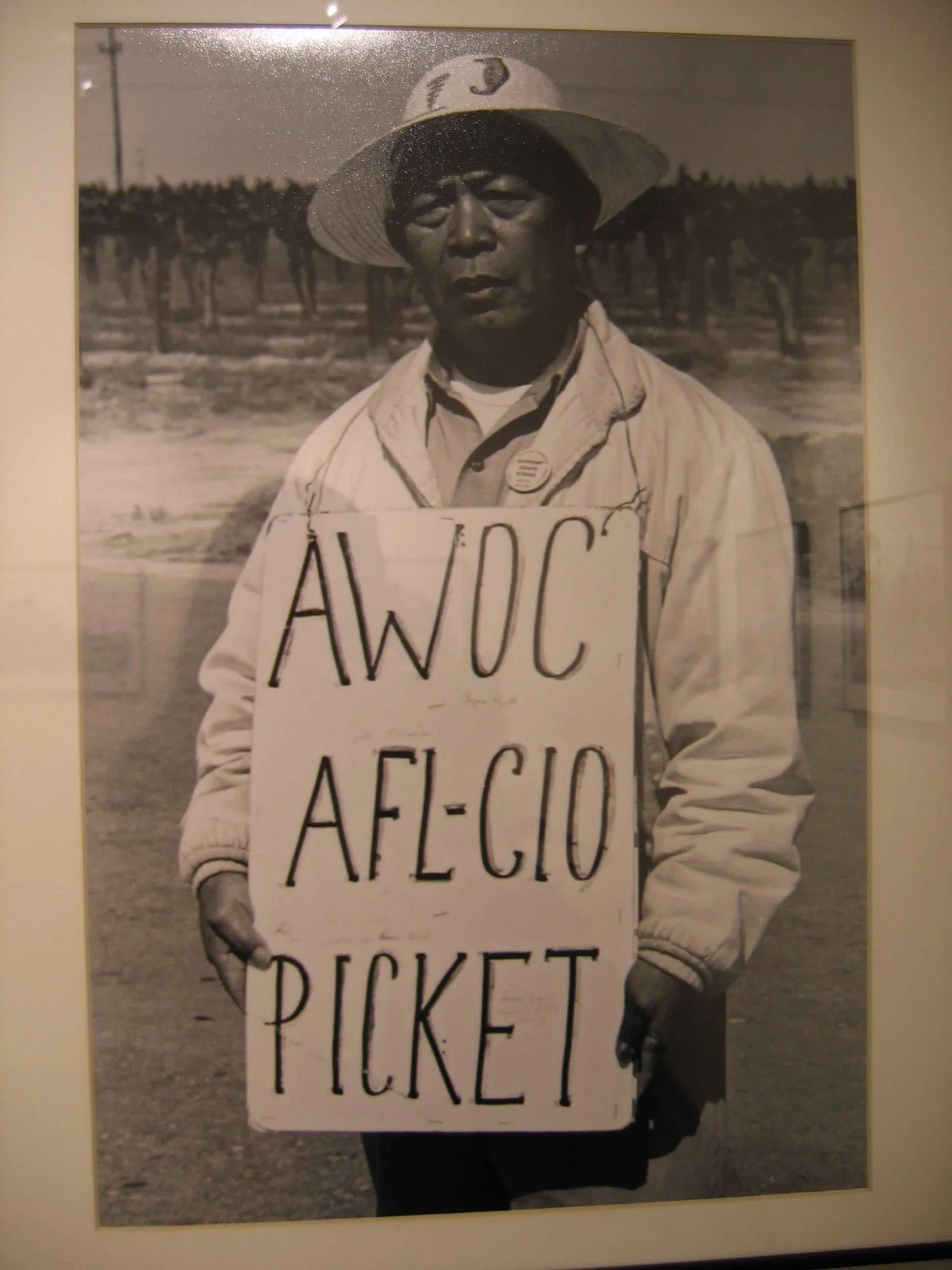 Delano Grape Strike: Keeping the Manongs’ Story Alive