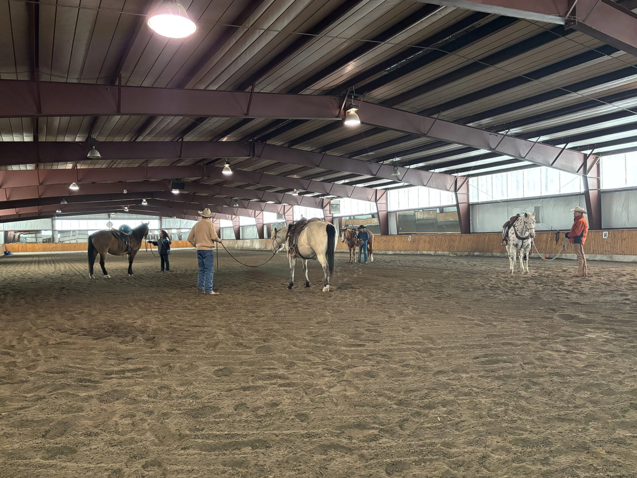 MARCH 21, 2026, Welcome to Spring Horsemanship Clinic, Fort Collins, CO
