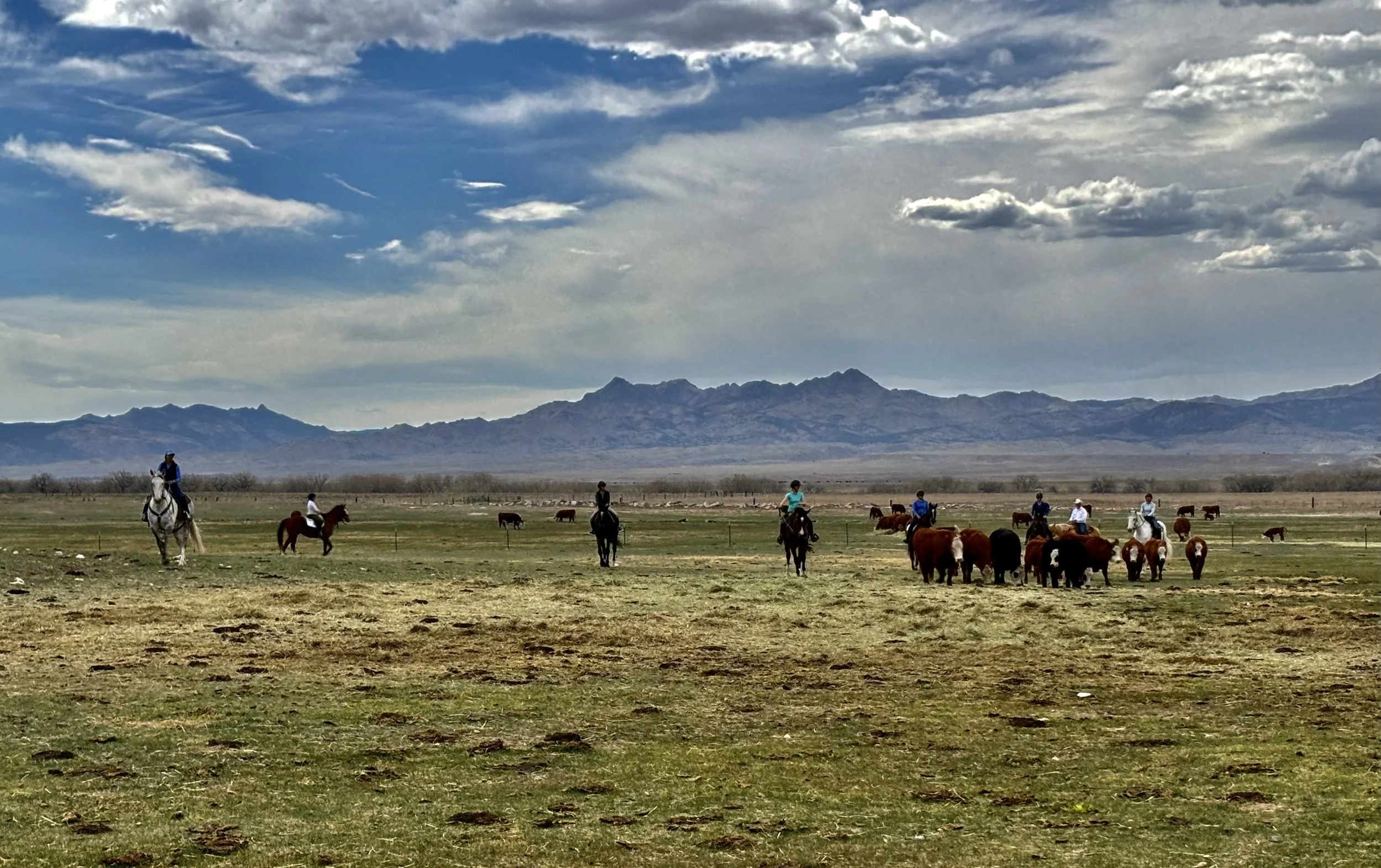 APRIL 18, 2026- Private Cow Working Clinic- Wheatland, WY
