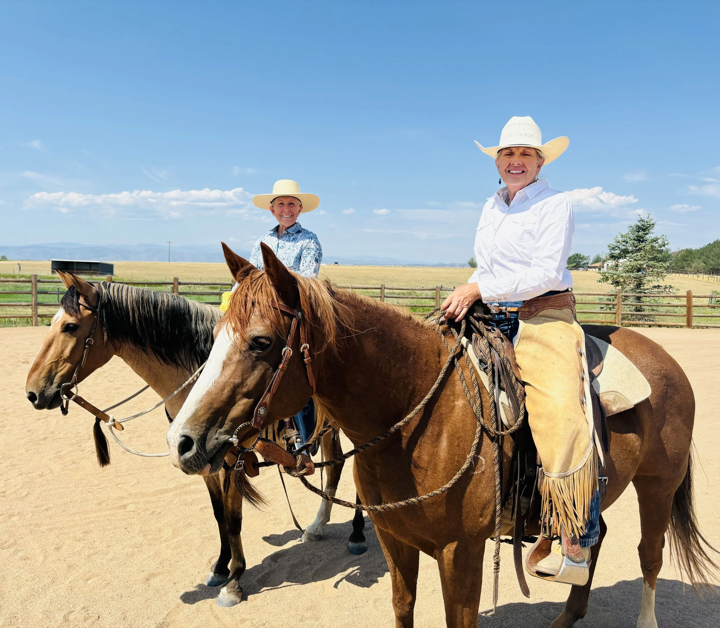 AUGUST 29-30, 2026, FOUNDATION HORSEMANSHIP AND ADVANCING HORSEMANSHIP, Wellington, CO