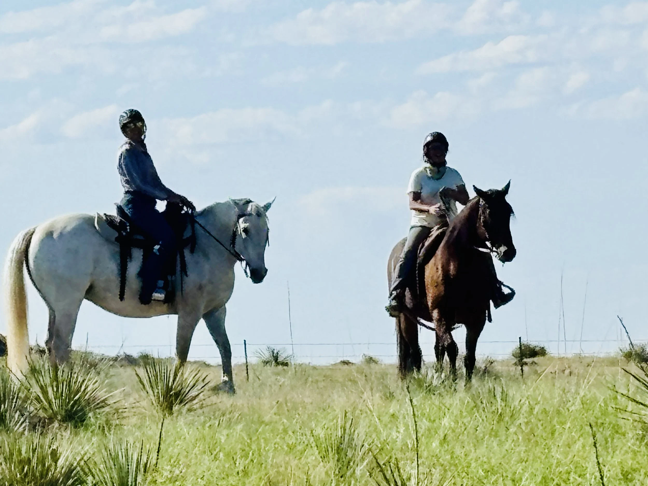JUNE 5-7, 2026 Horsemanship/Ranching Experience