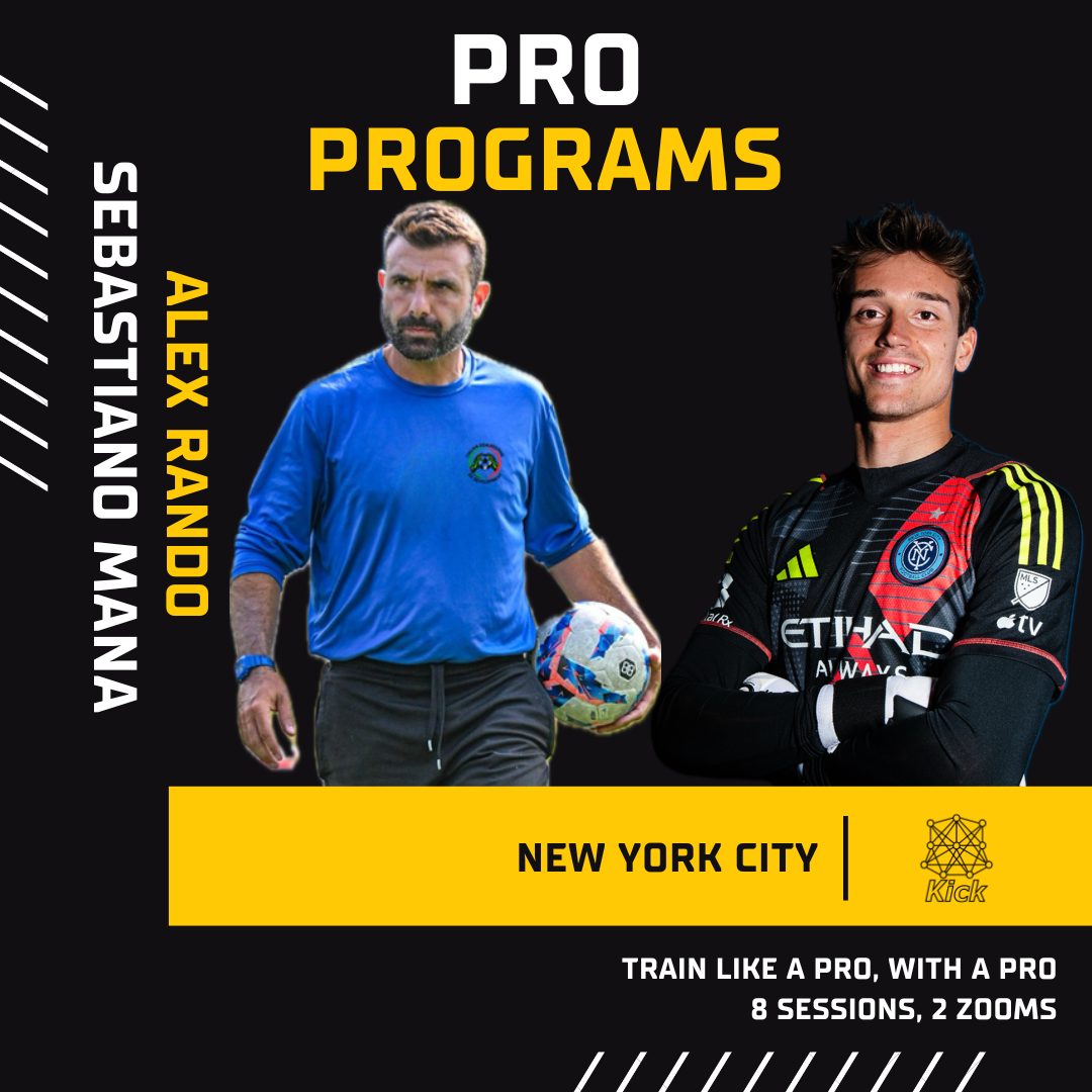 Seba & Rando - Professional Program