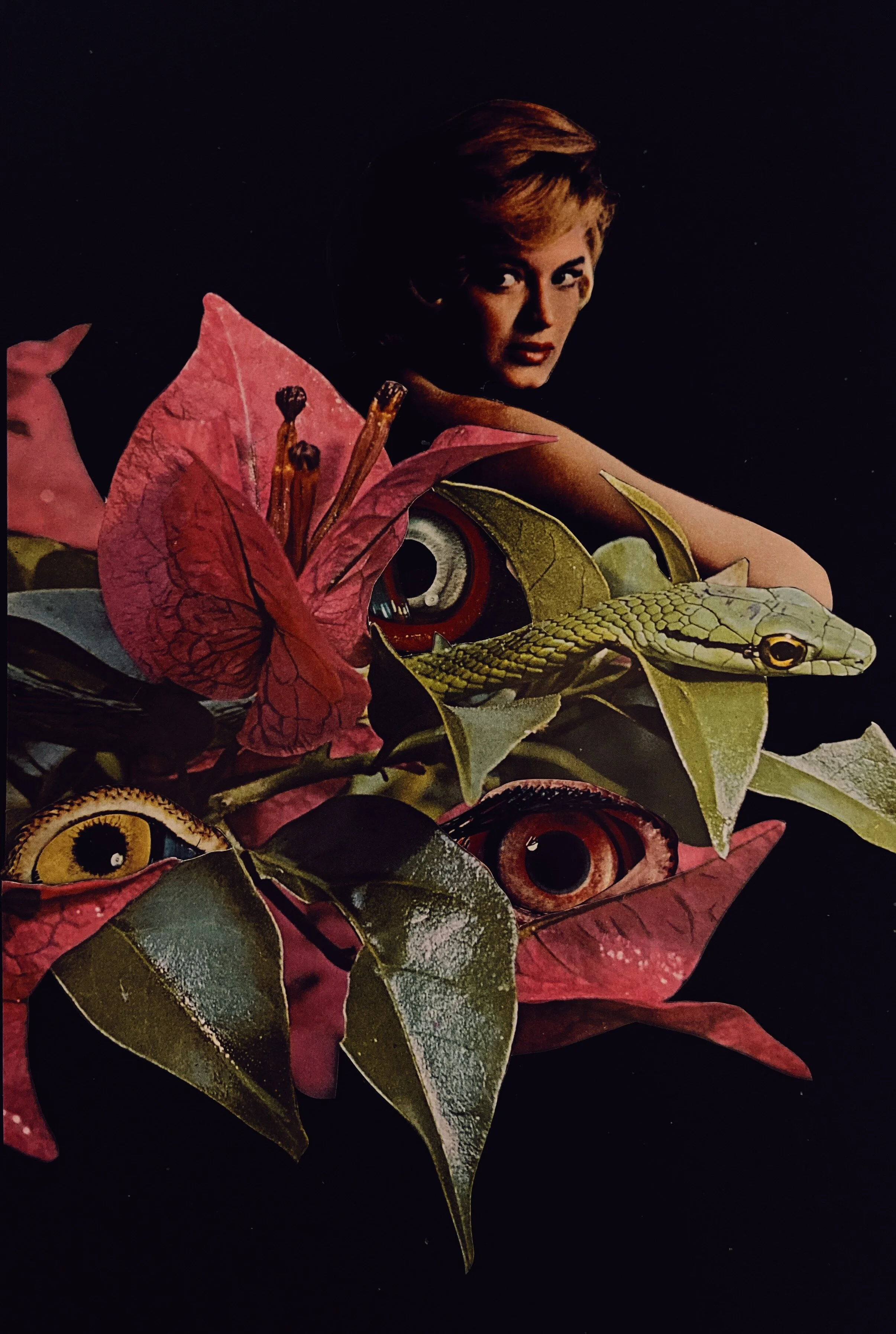 Collage_MM_63_30x24.5cm.JPG