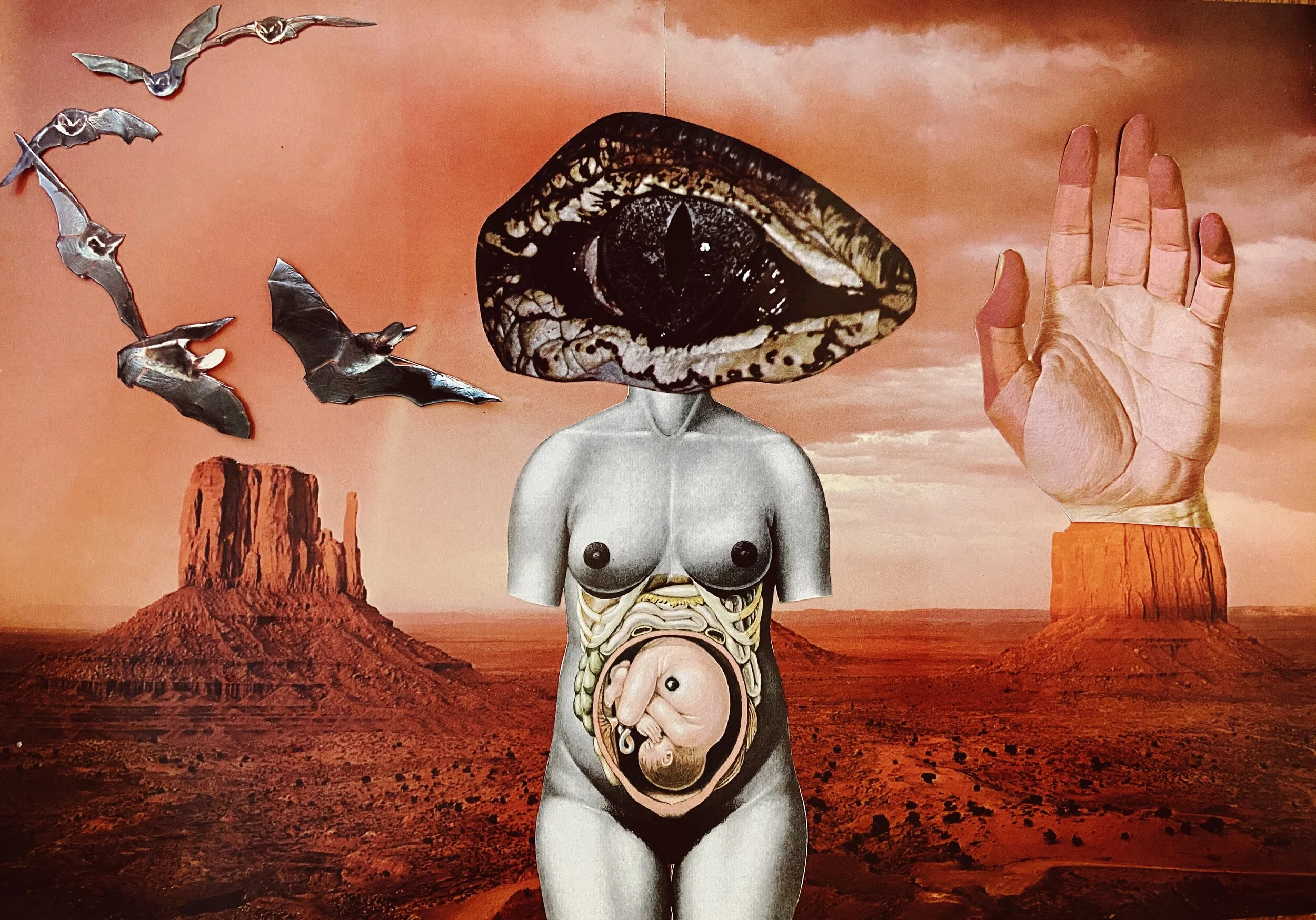 Collage_MM_66_25x35cm.JPG