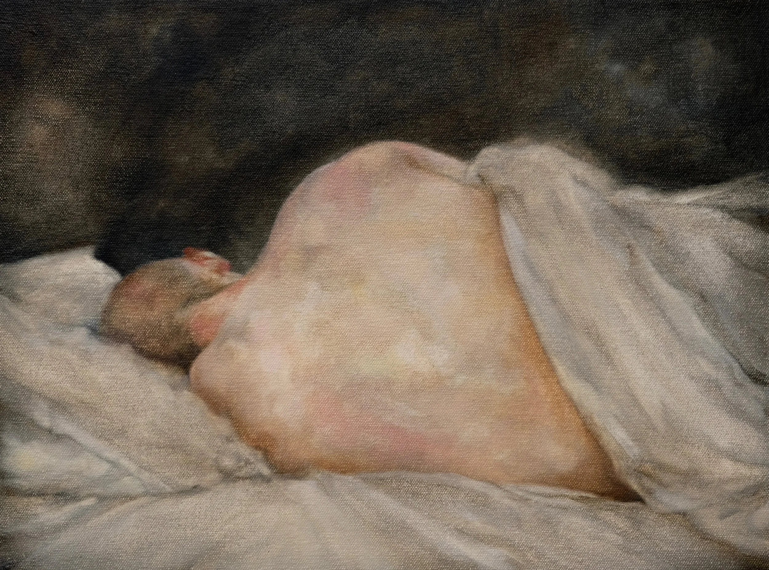 𝑊𝑜𝑜𝑙𝑒𝑛
2024
Oil on canvas over panel
16 x 12 inches