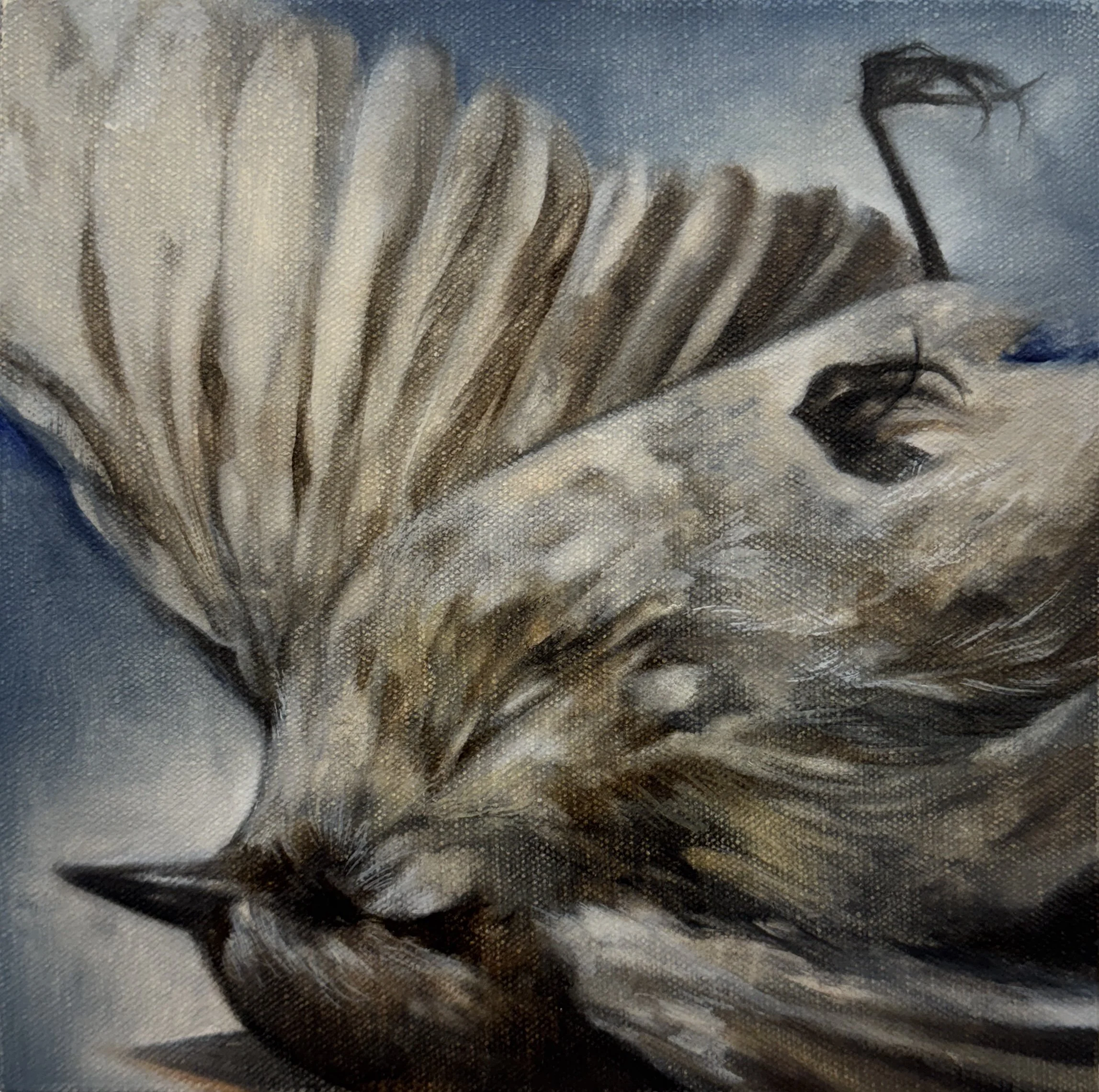 𝐴𝑐𝑡 𝑜𝑓 𝑊𝑖𝑙𝑙; 𝑆𝑢𝑟𝑟𝑒𝑛𝑑𝑒𝑟 (𝑠𝑒𝑎𝑠𝑖𝑐𝑘𝑛𝑒𝑠𝑠)
2025
Oil on canvas over panel
8 x 8 inches