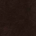 Walnut.png
