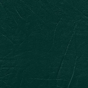 newColorBig-huntergreen.jpg