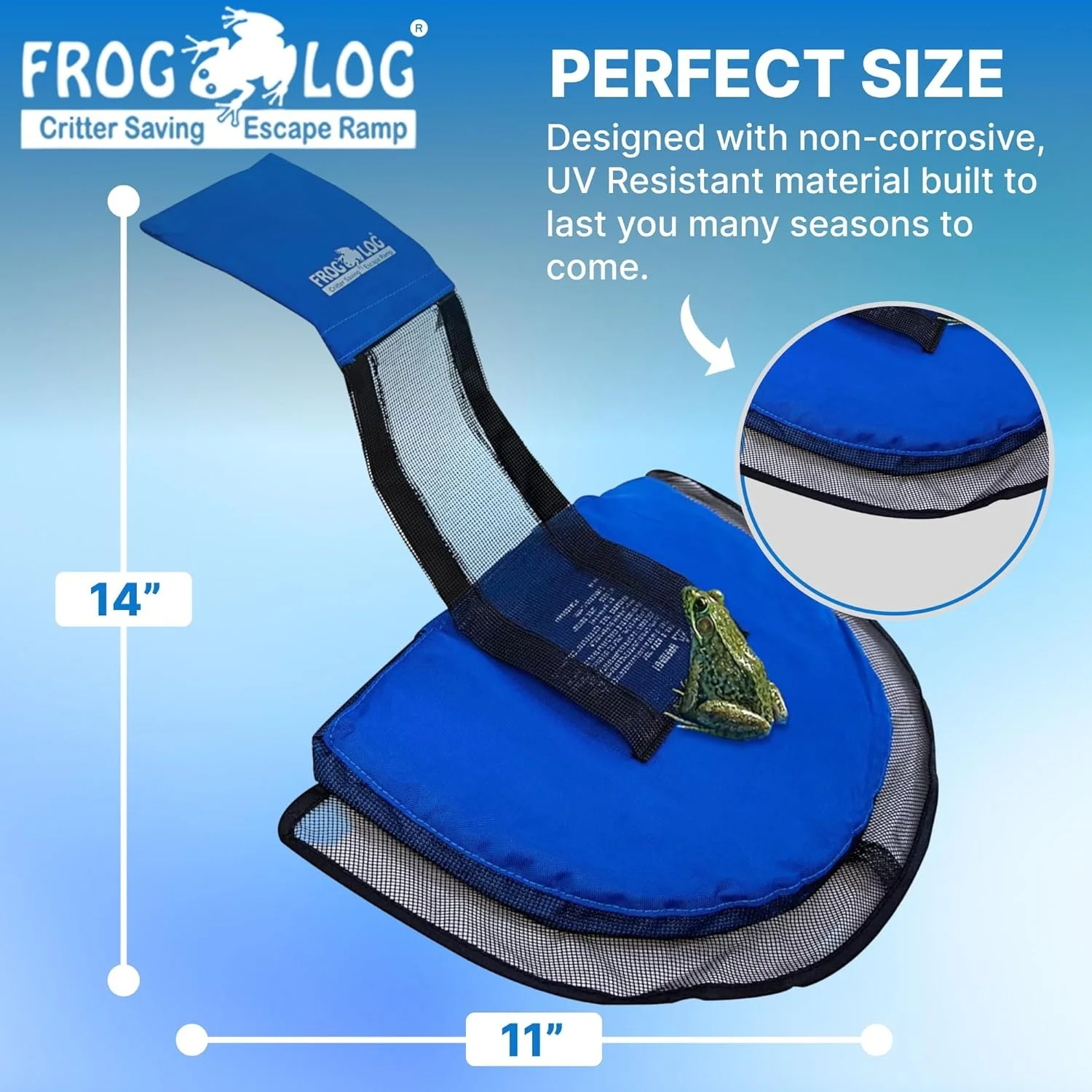 Frog Log 5.jpg