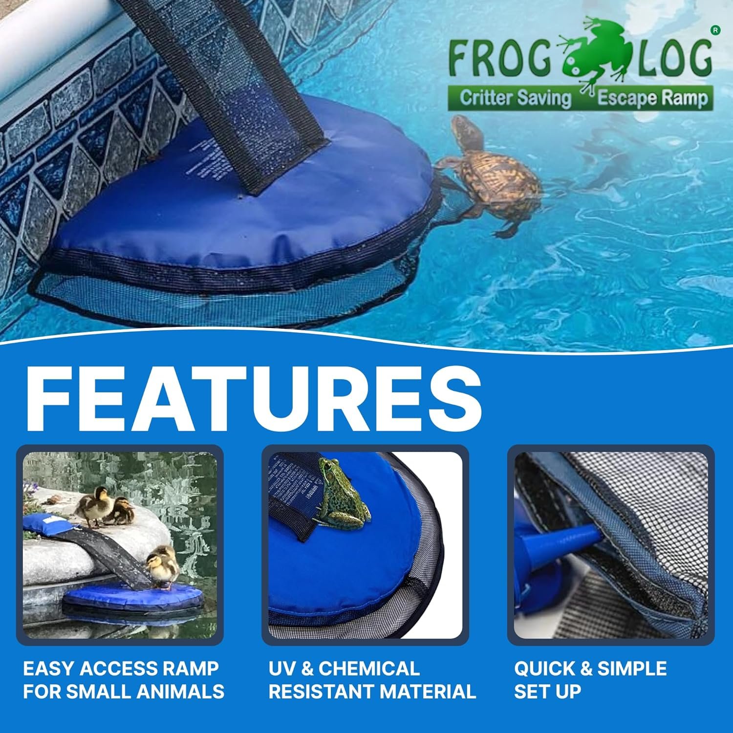 Frog log 2.jpg