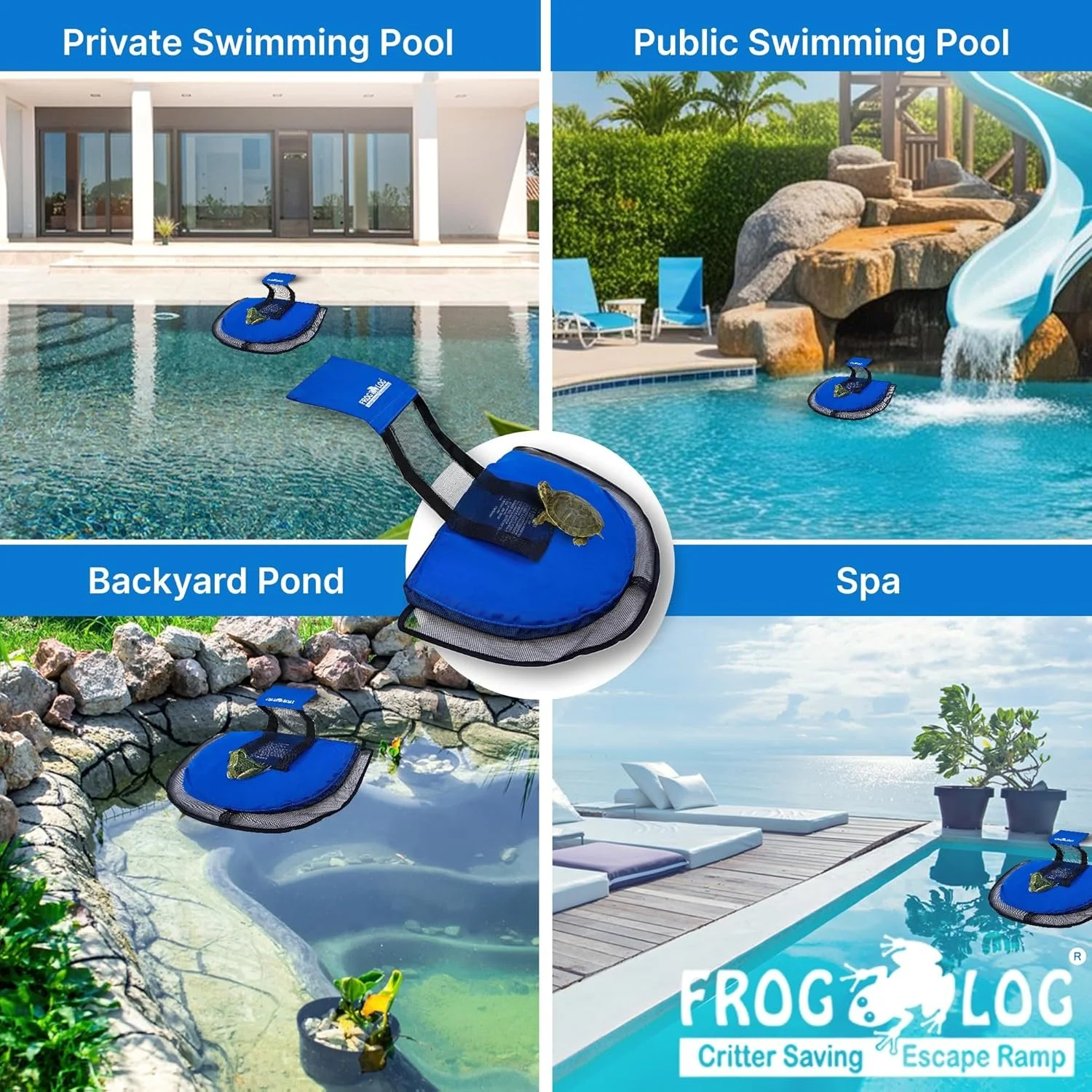 Frog Log 4.jpg