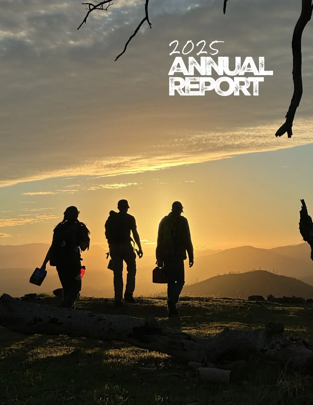 2025 Annual report cover.jpg