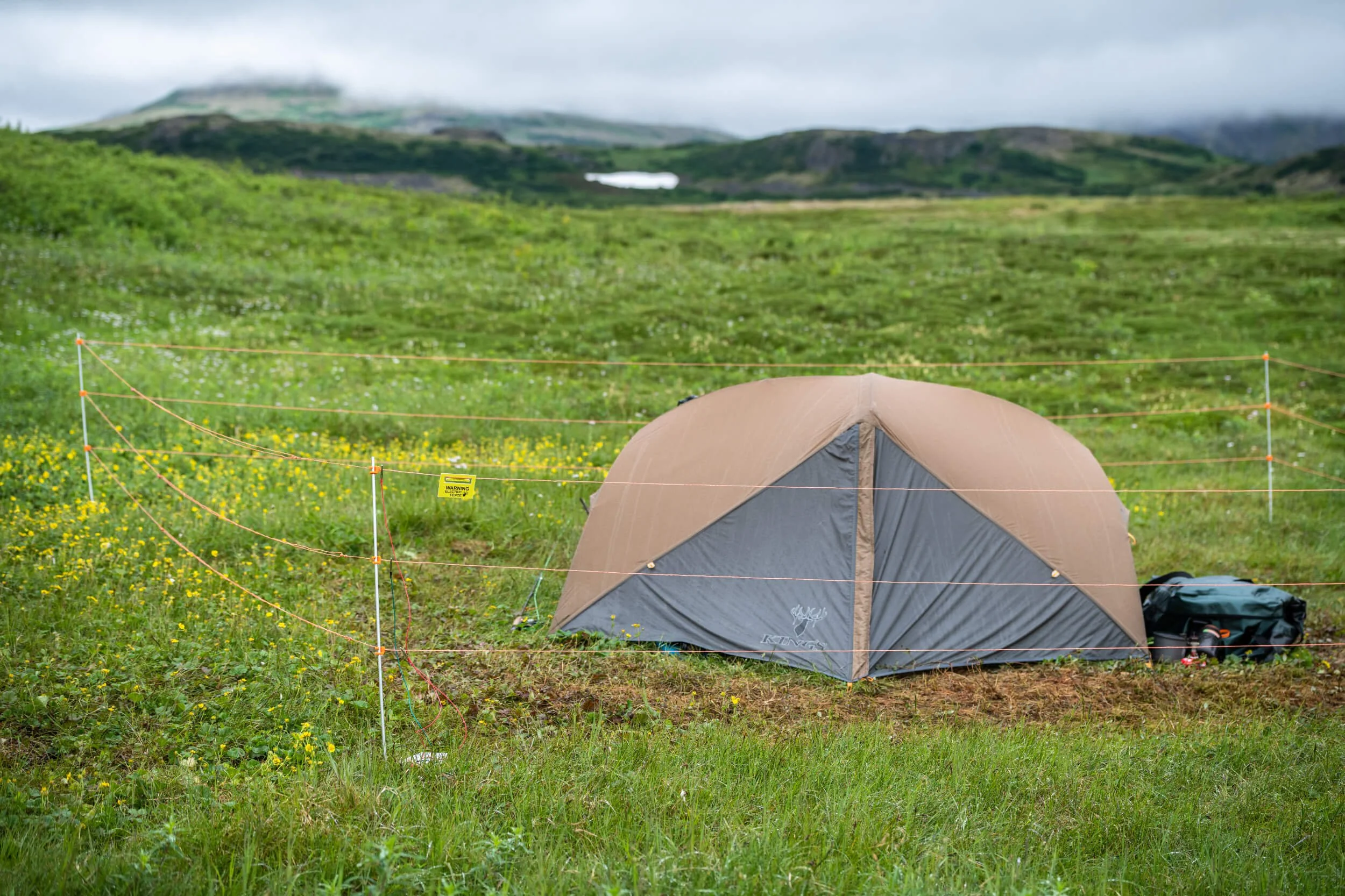 Bearwatch Wildlife Deterrent System — Bearwatch Systems Electric Bear