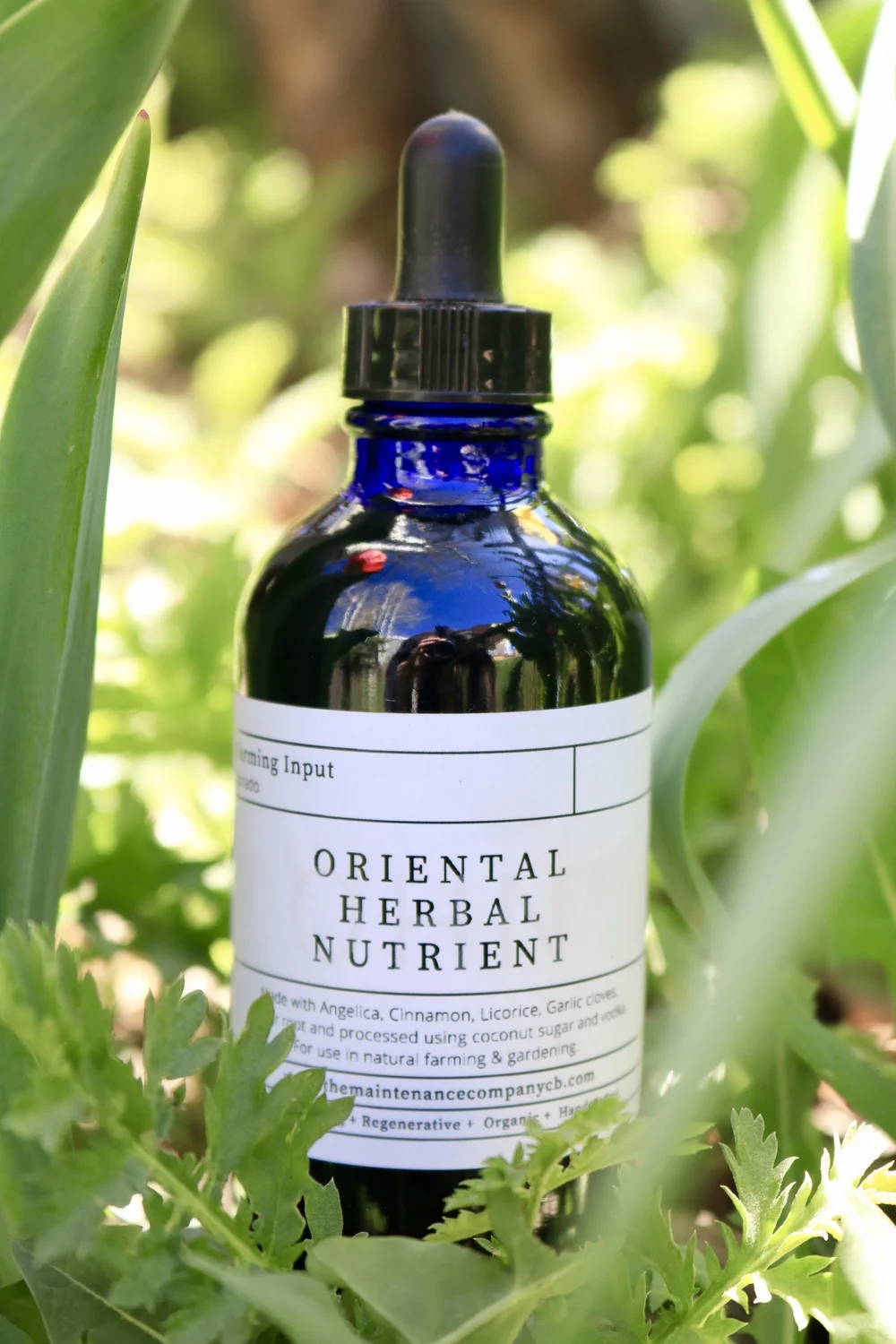 Natural farming自然栽培玄 腸活 バーナード ジェンセン 免疫力 Oriental Herbal Nutrient (OHN) | KNF Immune Boosting Tincture