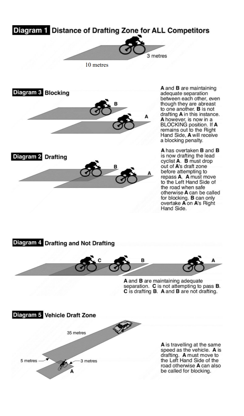 TRINZ DRAFT DIAGRAM.png