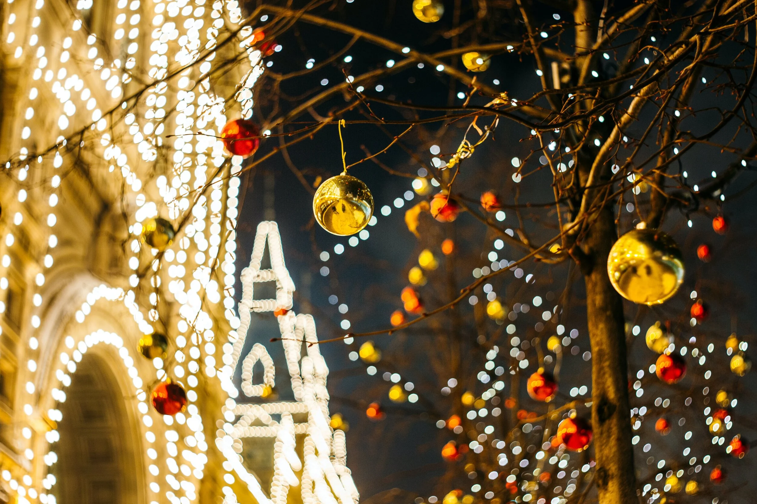 Experience The Magic Of The Season In A New Way At This Year’s Festival Of Trees