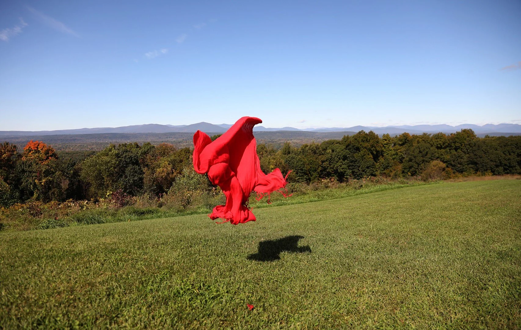 Eagle meets landing on the fields of Mohonk Mountain
