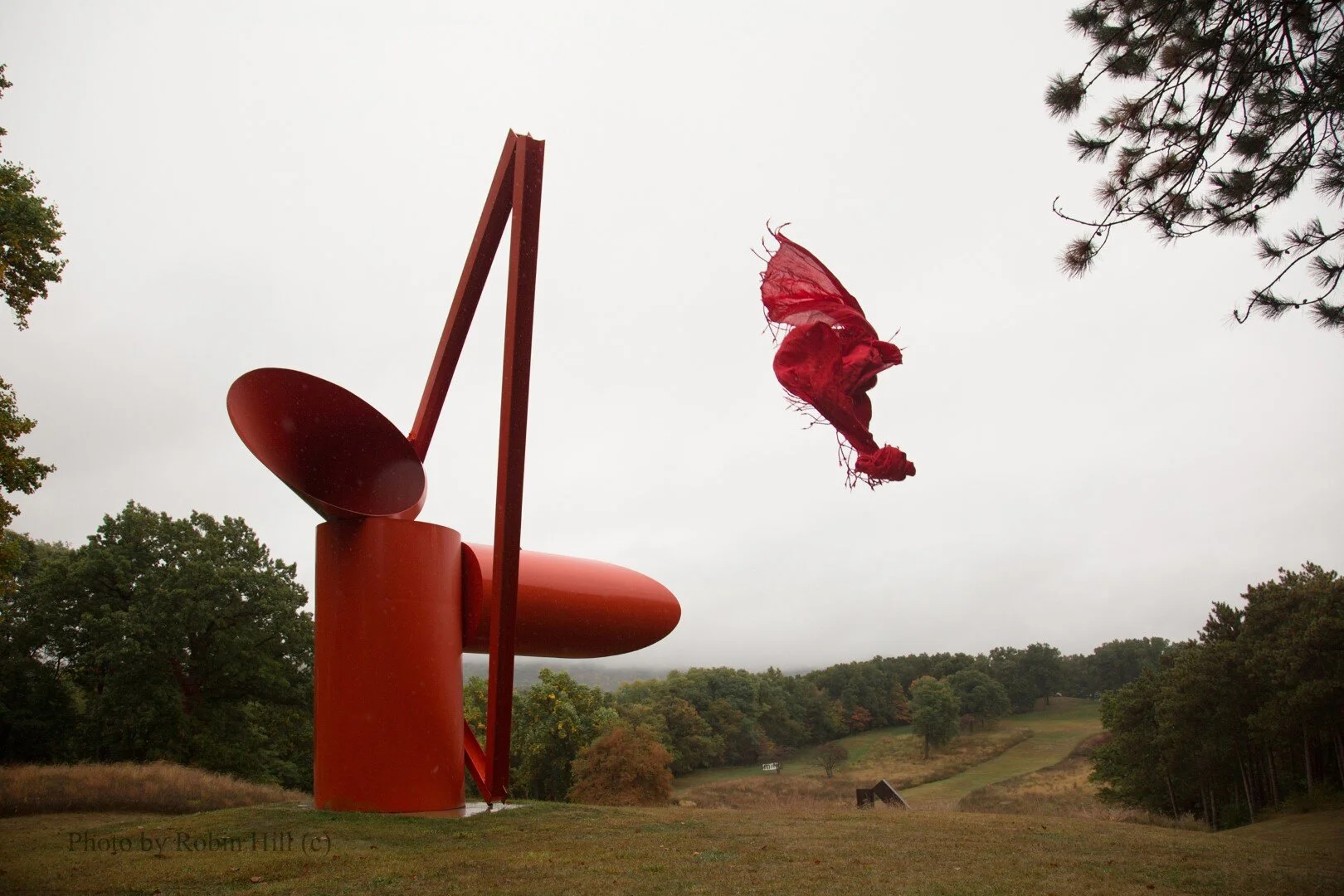 Flight to Somewhere (after Alexander Lieberman)