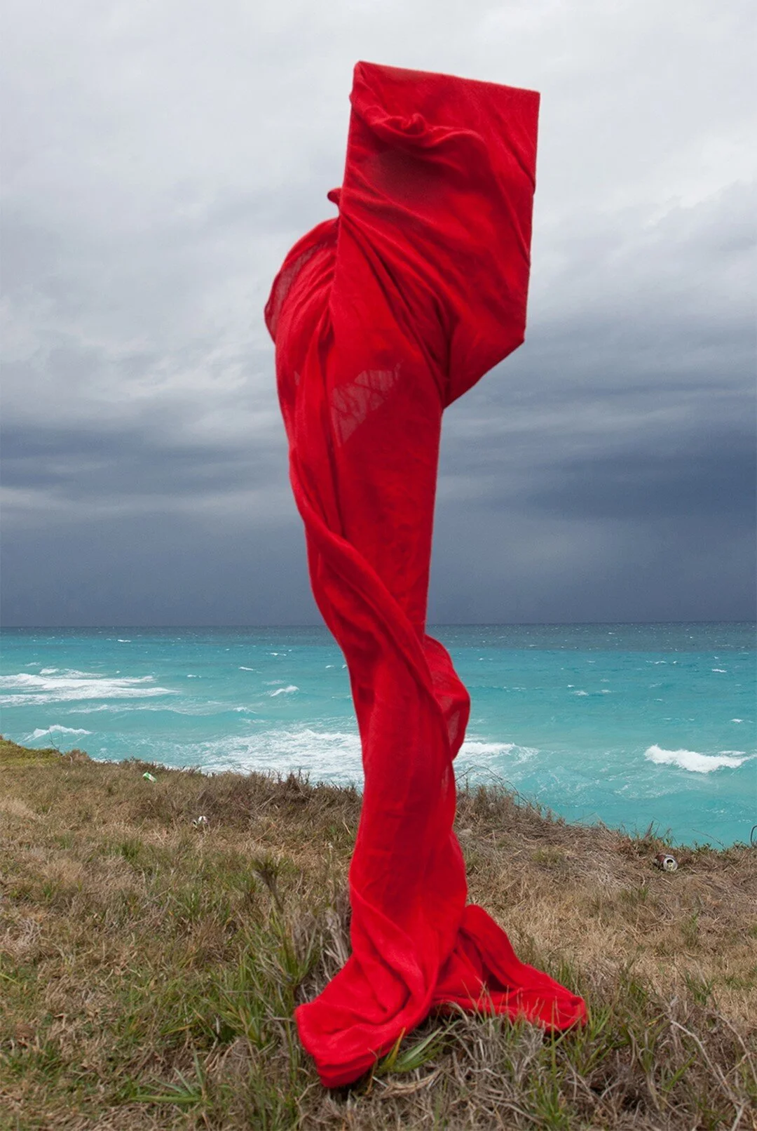 'Standing here alone, a sentinel without borders' (Large).jpg