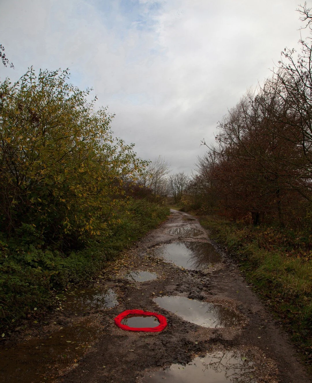 The Beginning Road on Constitution Lane