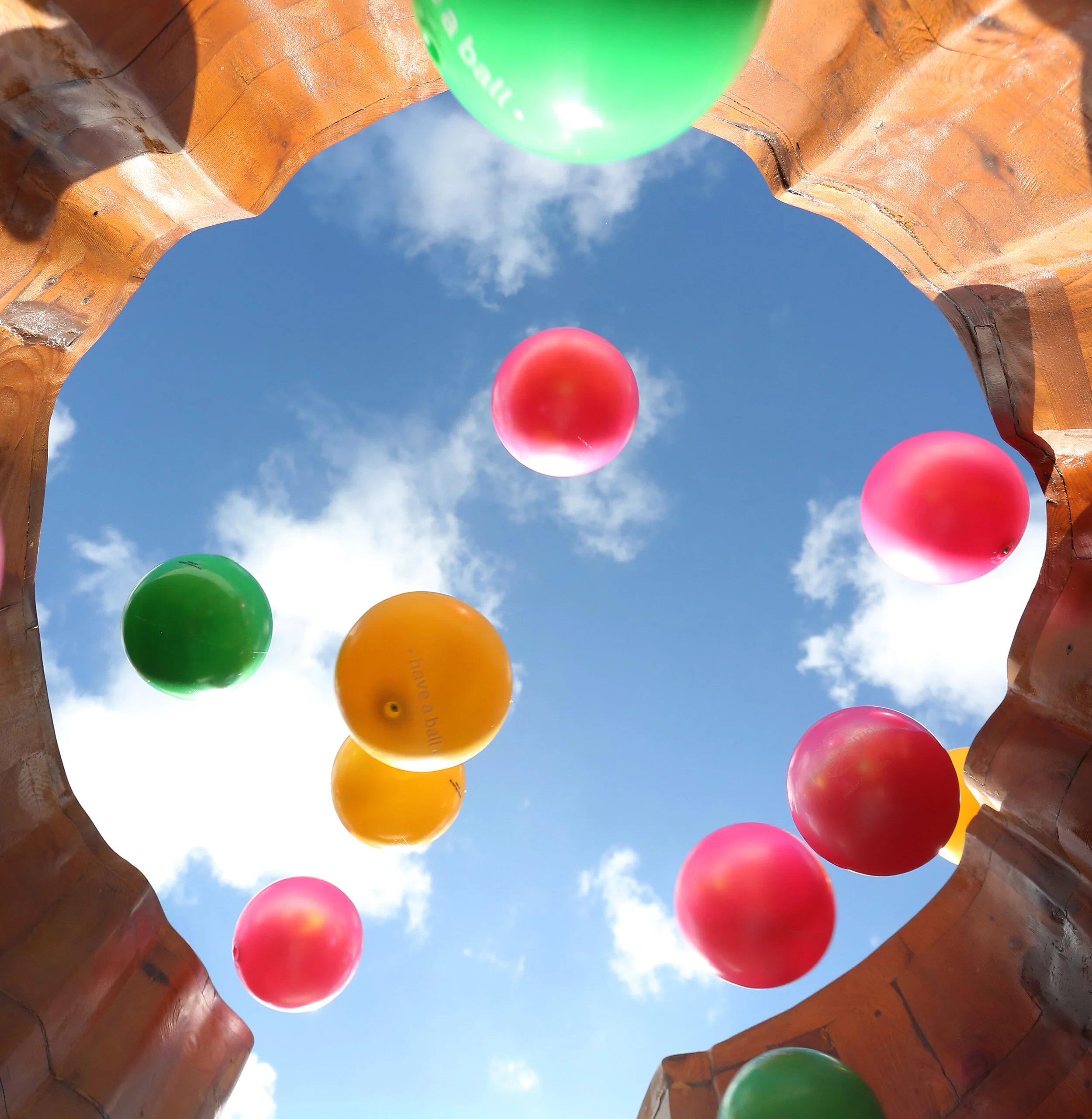 Took a lot of balls to get this one!.jpg