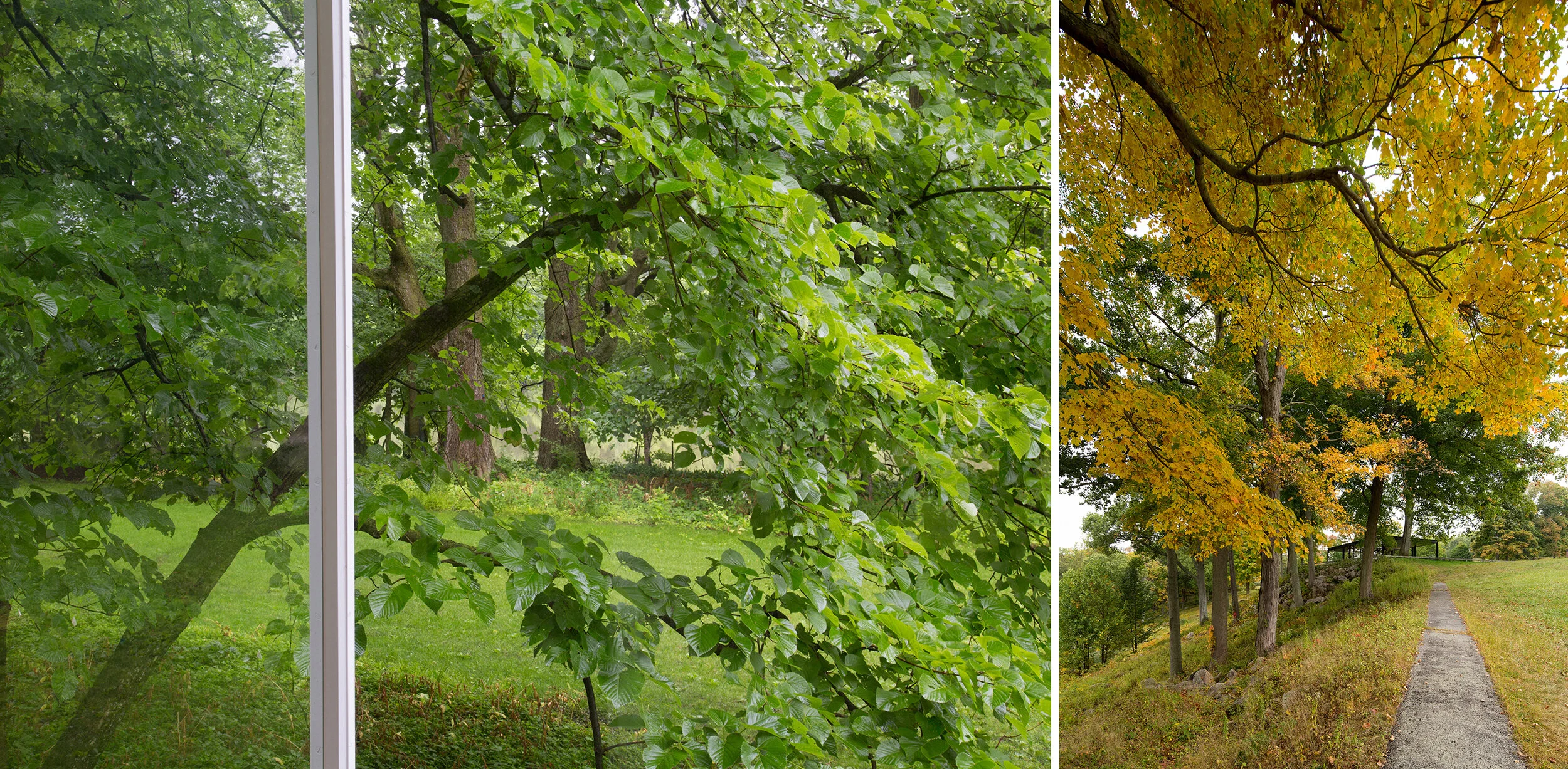 Side by Side Diptych XIV