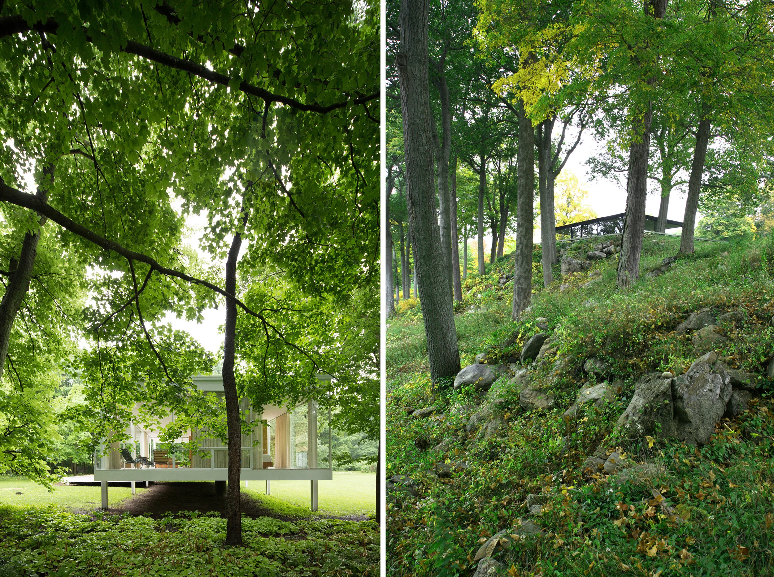 Side by Side Diptych XXI