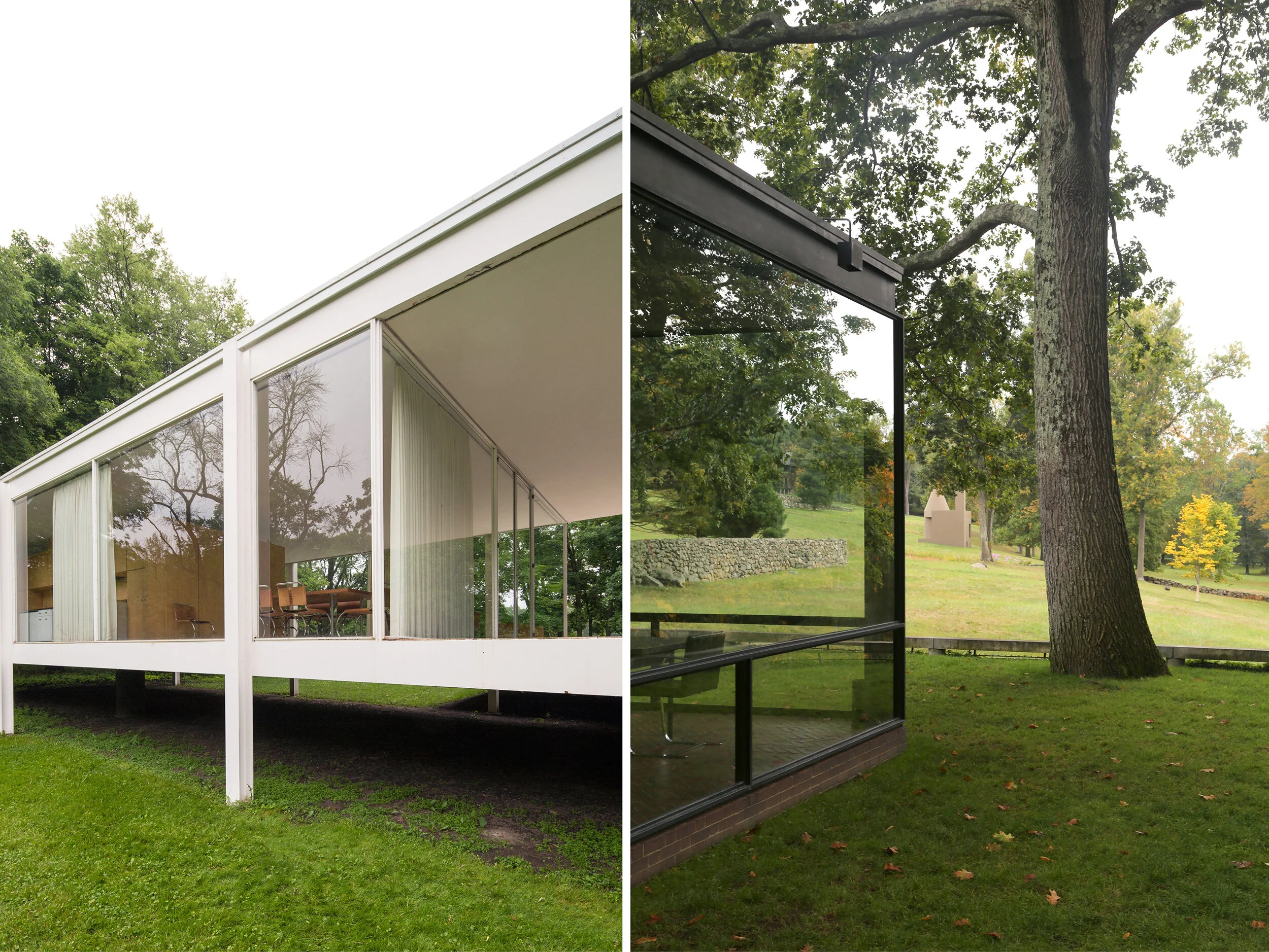 Side by Side Diptych XVI