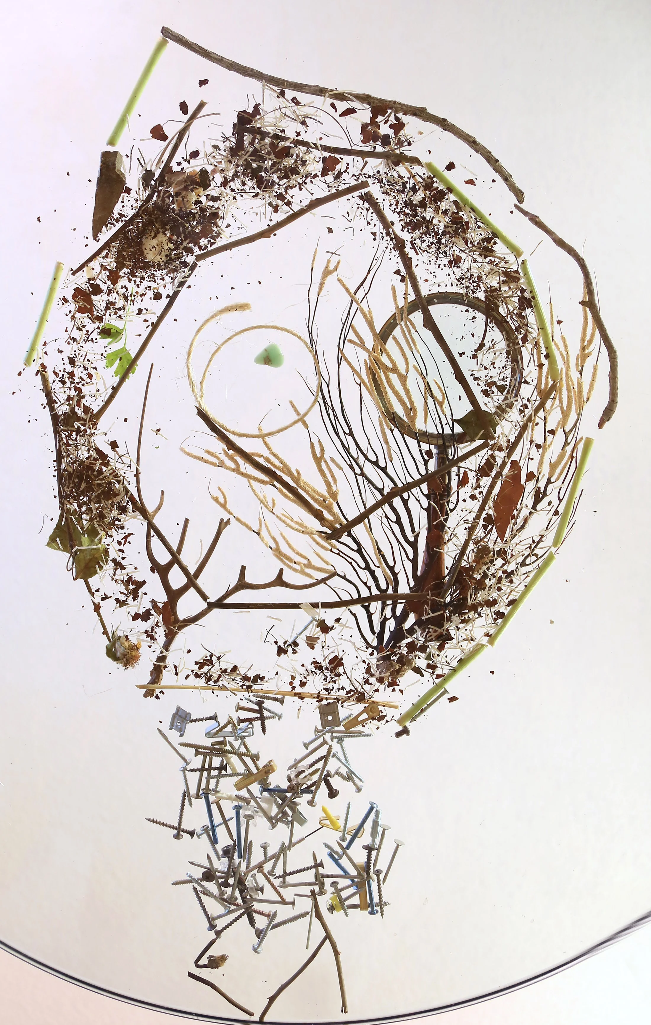Penelope Wheeler – The Researcher