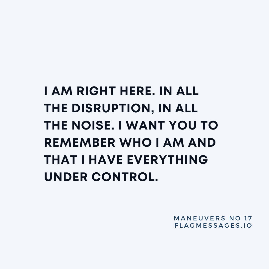 Maneuvers - No. 17