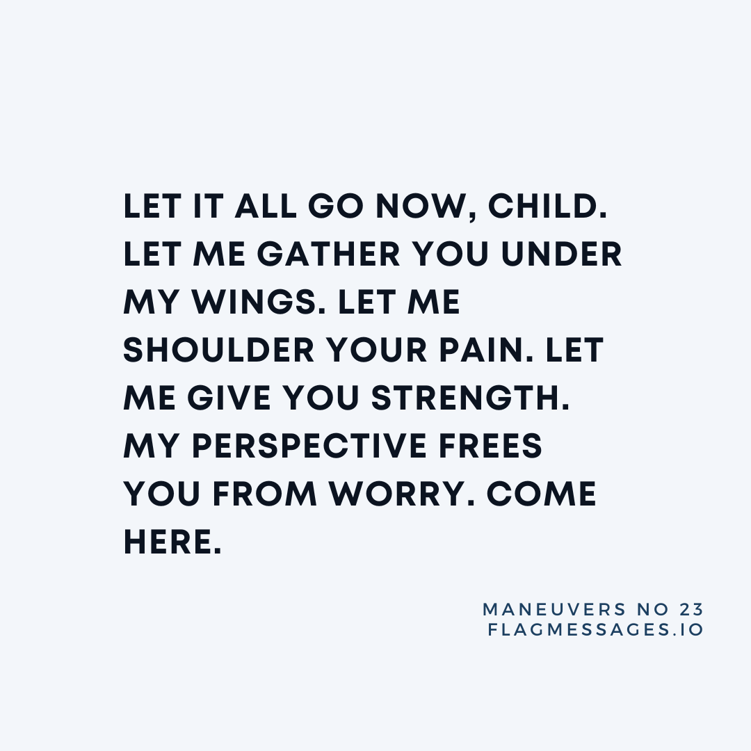 Maneuvers - No. 23