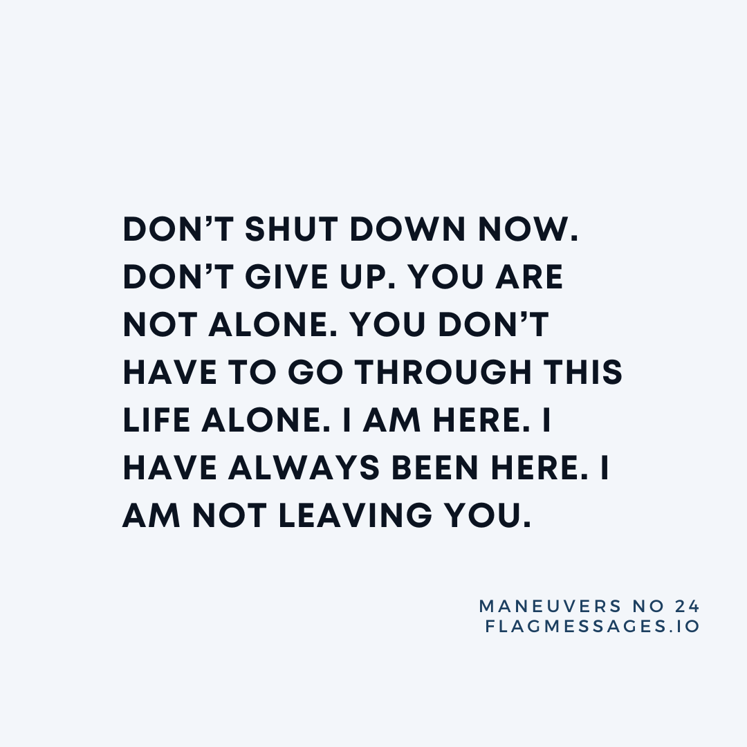 Maneuvers - No. 24
