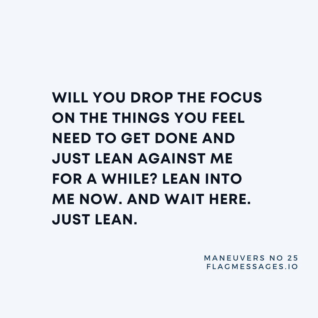 Maneuvers - No. 25